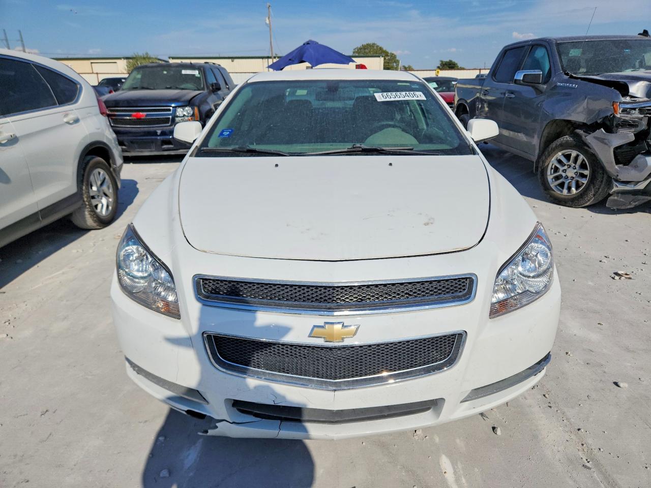 2010 Chevrolet Malibu 1lt White vin: 1G1ZC5E08AF200202