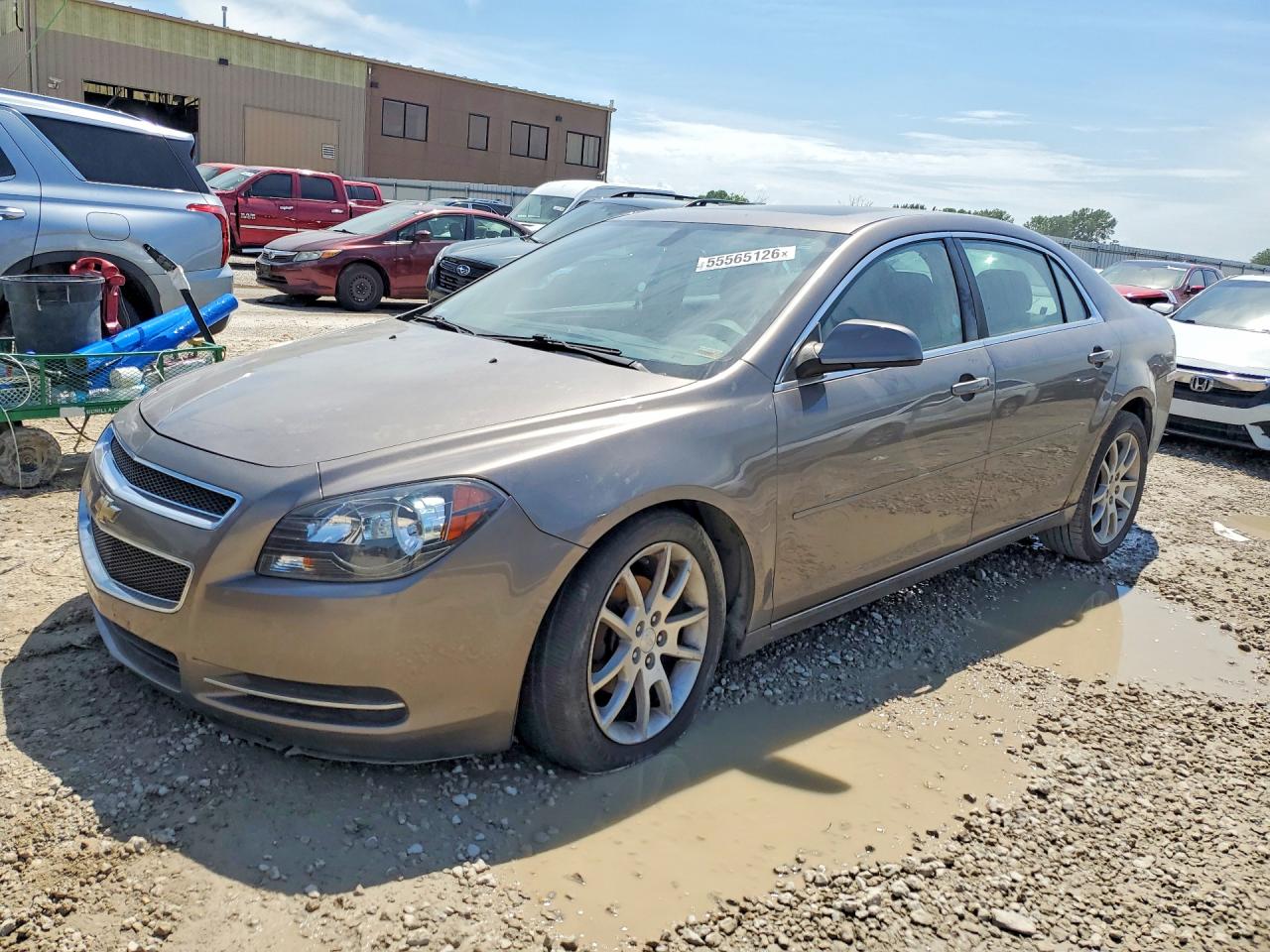 2011 Chevrolet Malibu 1lt Tan vin: 1G1ZC5E10BF174205