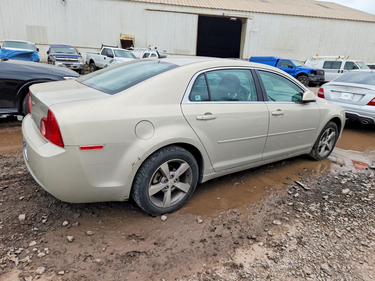 2011 Chevrolet Malibu 1lt Beige vin: 1G1ZC5E11BF236341