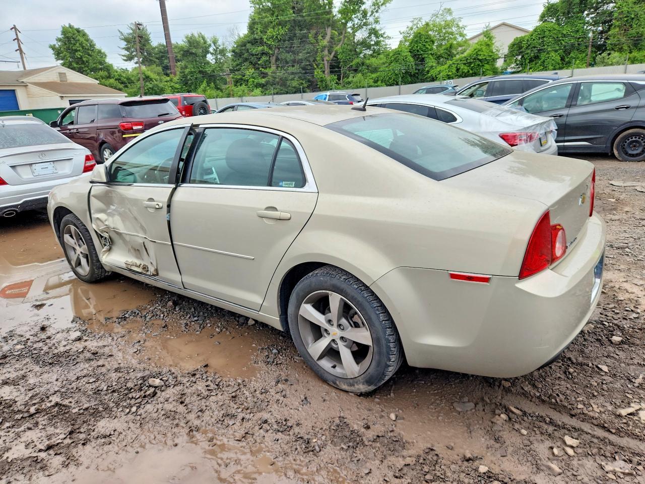 2011 Chevrolet Malibu 1lt Beige vin: 1G1ZC5E11BF236341