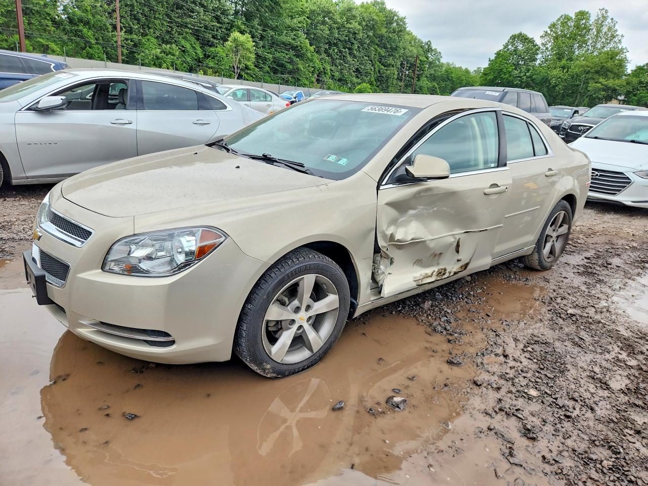 2011 Chevrolet Malibu 1lt Beige vin: 1G1ZC5E11BF236341