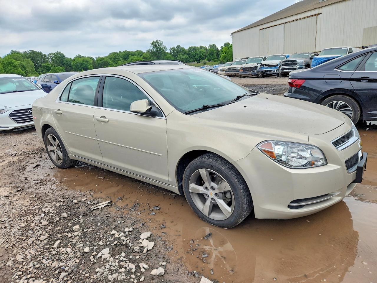 2011 Chevrolet Malibu 1lt Beige vin: 1G1ZC5E11BF236341