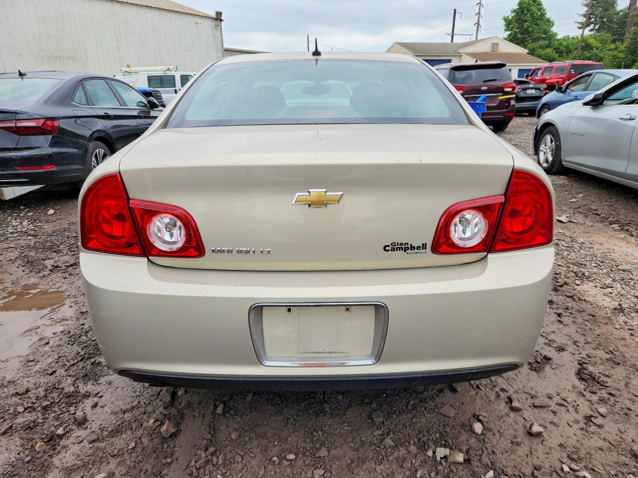 2011 Chevrolet Malibu 1lt Beige vin: 1G1ZC5E11BF236341