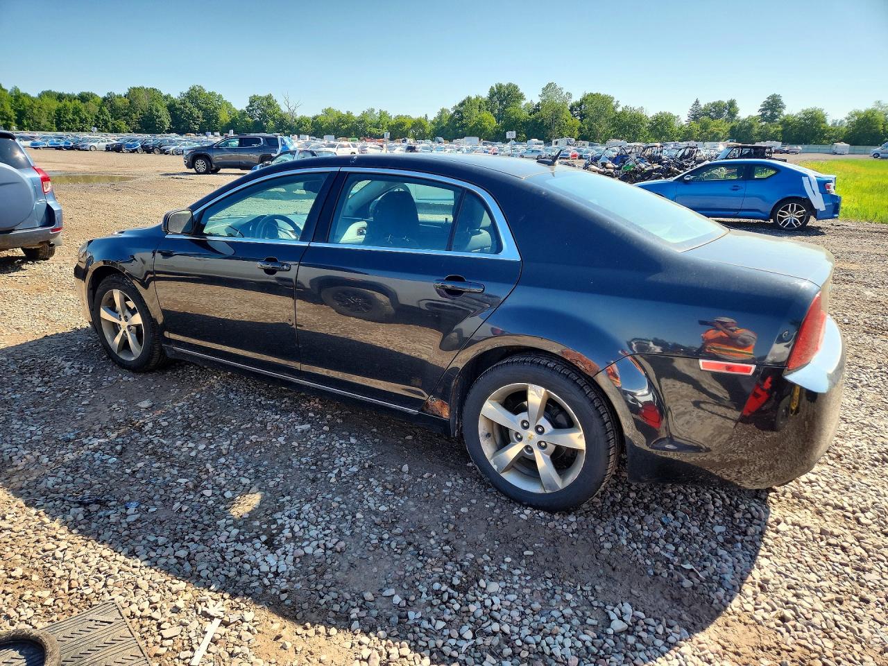 2011 Chevrolet Malibu 1lt Black vin: 1G1ZC5E13BF317082