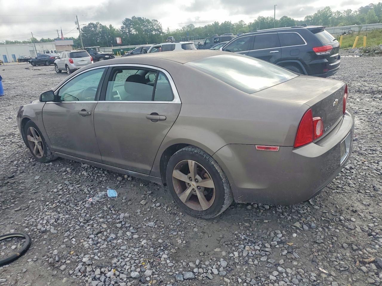 2011 Chevrolet Malibu 1lt Tan vin: 1G1ZC5E14BF166351