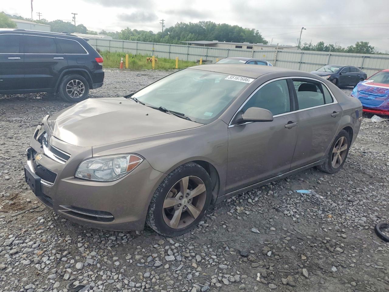 2011 Chevrolet Malibu 1lt Желто-коричневый vin: 1G1ZC5E14BF166351