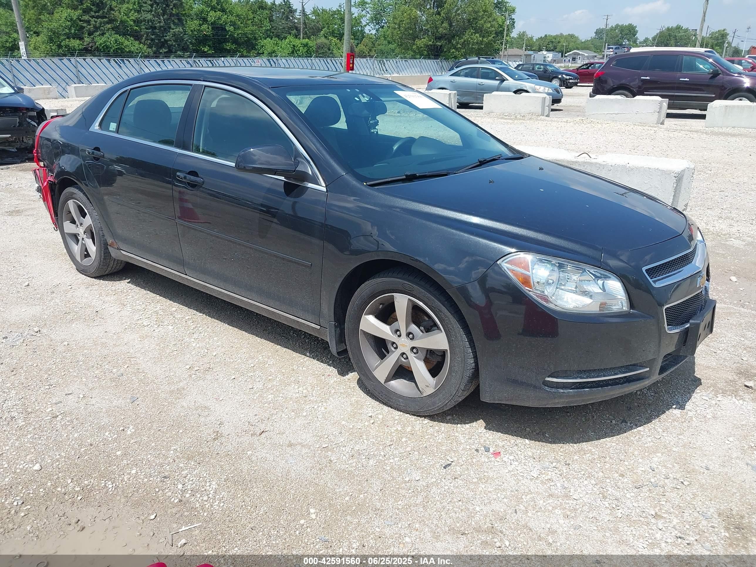 1G1ZC5E16BF261770