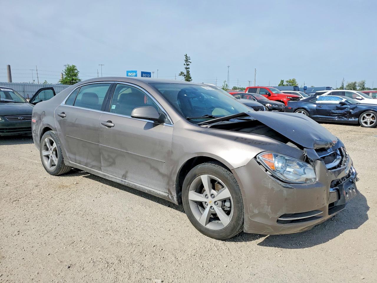 2011 Chevrolet Malibu 1lt Tan vin: 1G1ZC5E16BF335124