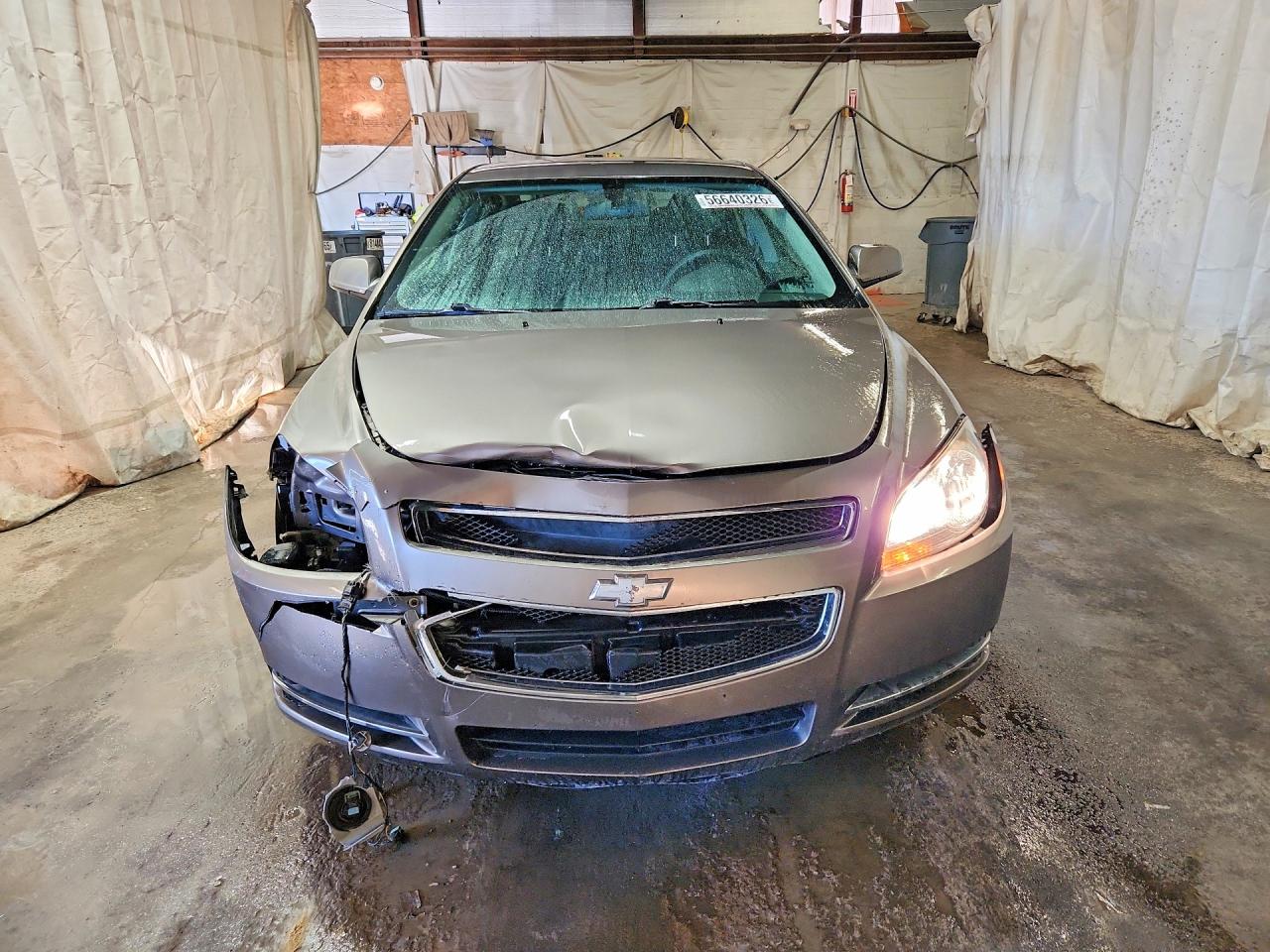 2011 Chevrolet Malibu 1lt Tan vin: 1G1ZC5E16BF389071