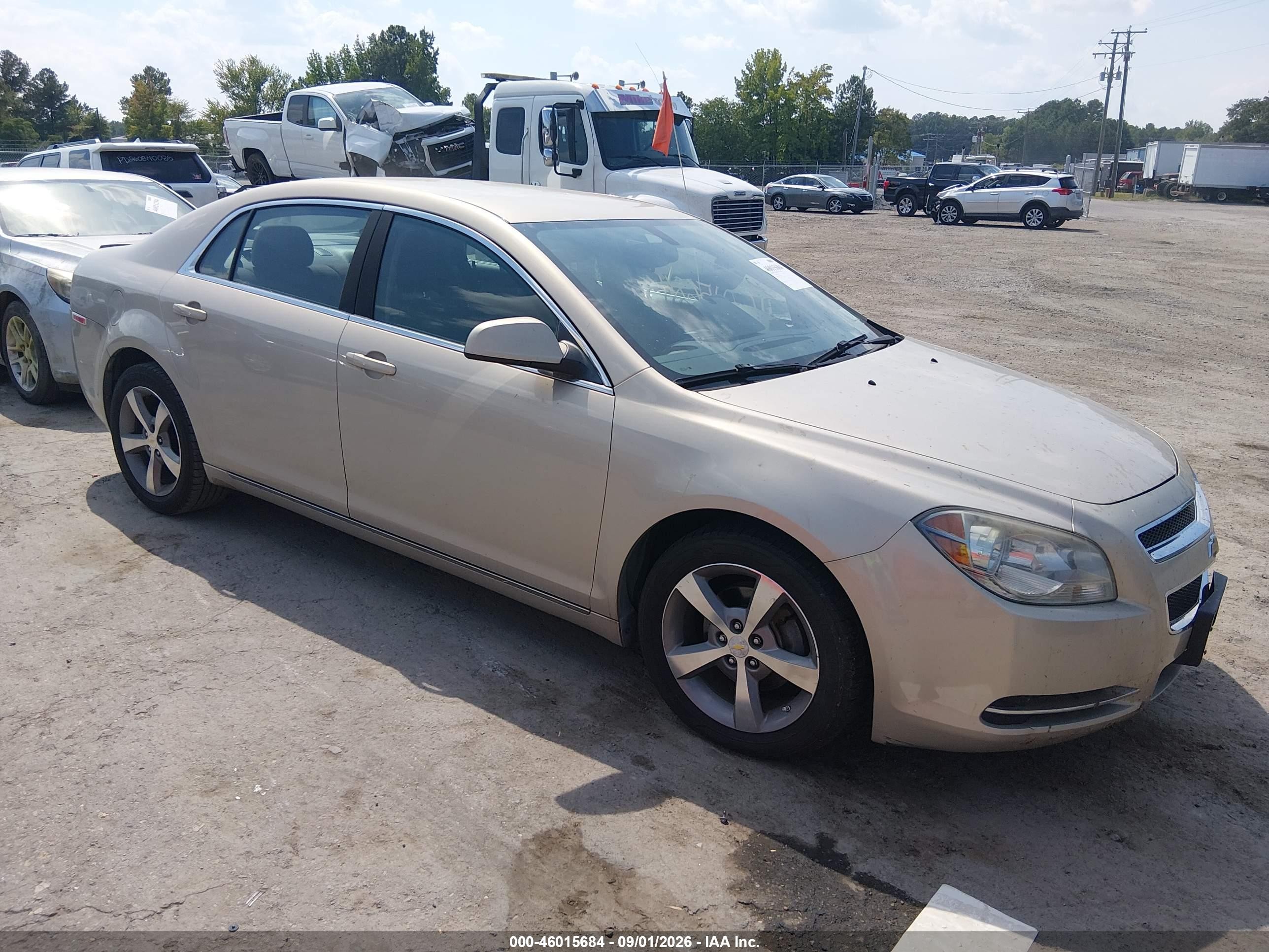 2011 Chevrolet Malibu 1lt Champagne vin: 1G1ZC5E17BF382906