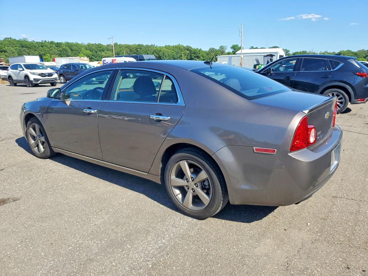 2011 Chevrolet Malibu 1lt Tan vin: 1G1ZC5E18BF203563