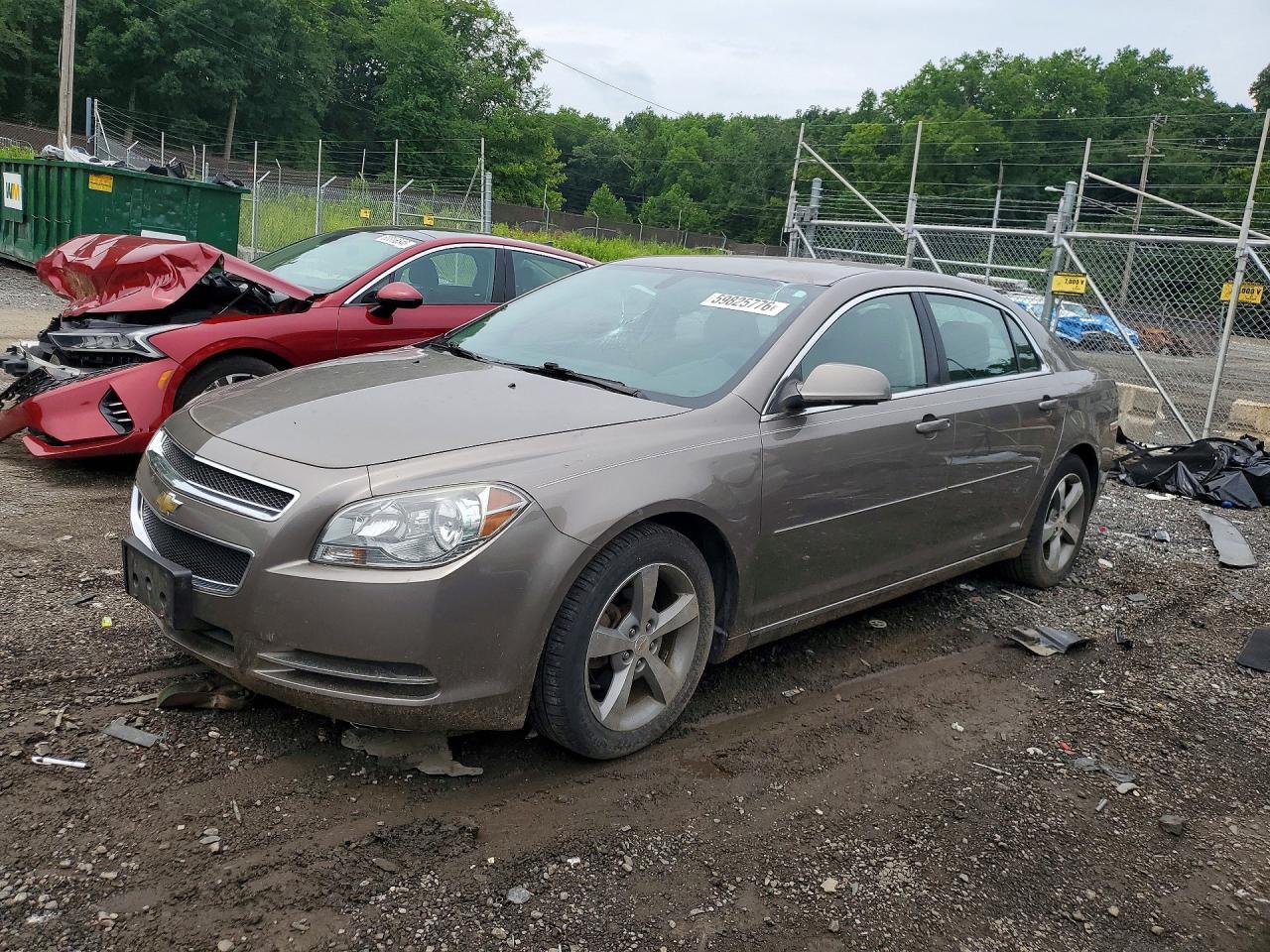 2011 Chevrolet Malibu 1lt Tan vin: 1G1ZC5E1XBF224284
