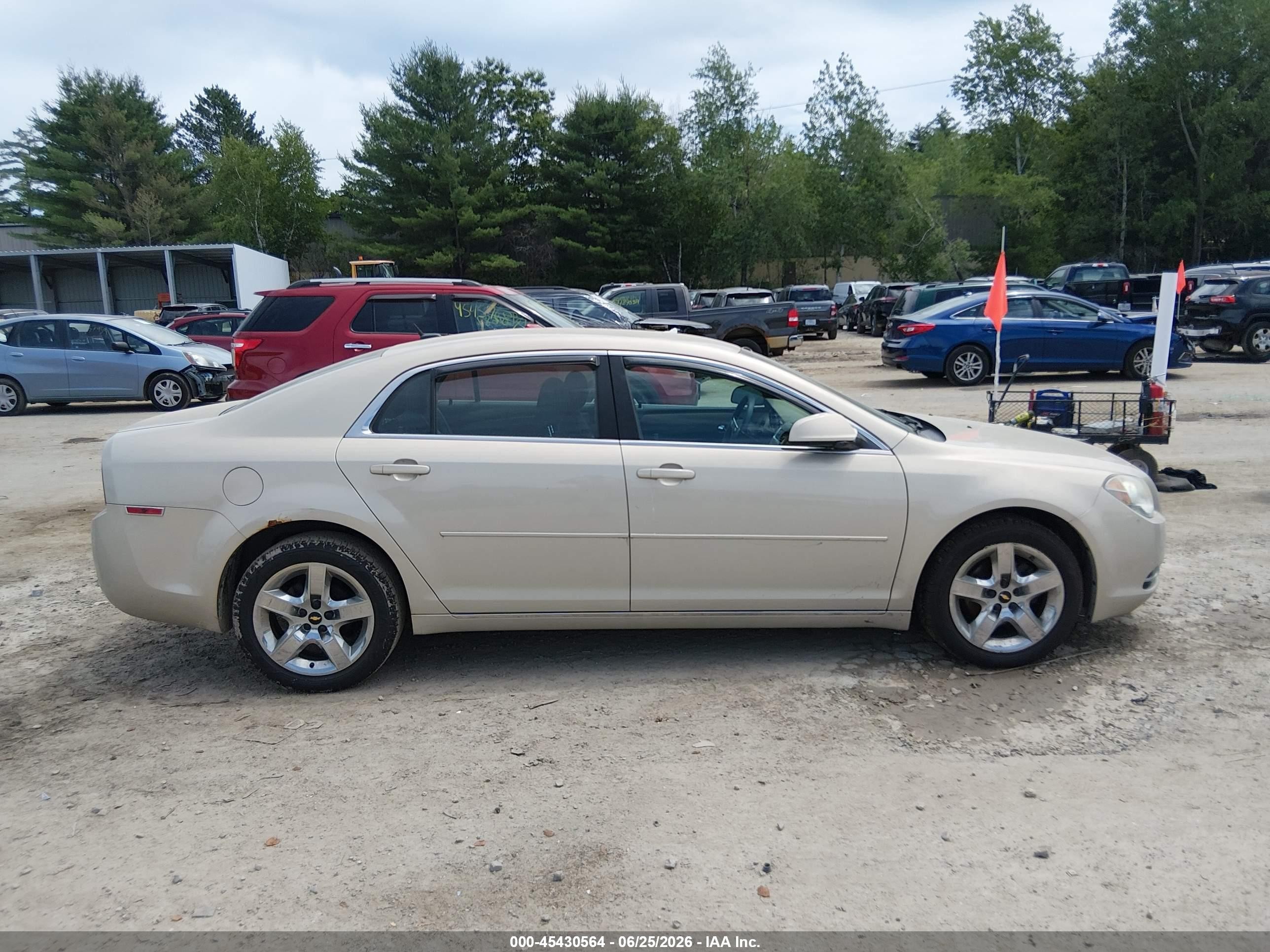 2010 Chevrolet Malibu Lt Gold vin: 1G1ZC5EB0AF163325
