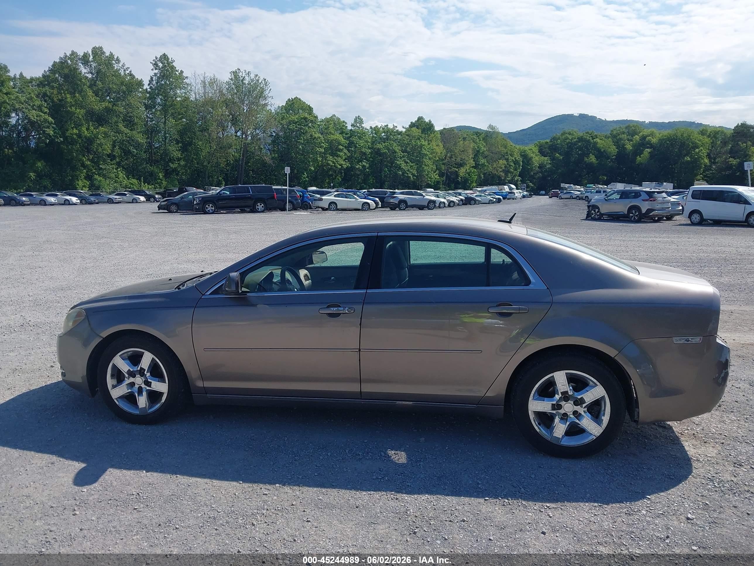 2010 Chevrolet Malibu Lt Gold vin: 1G1ZC5EBXAF257762
