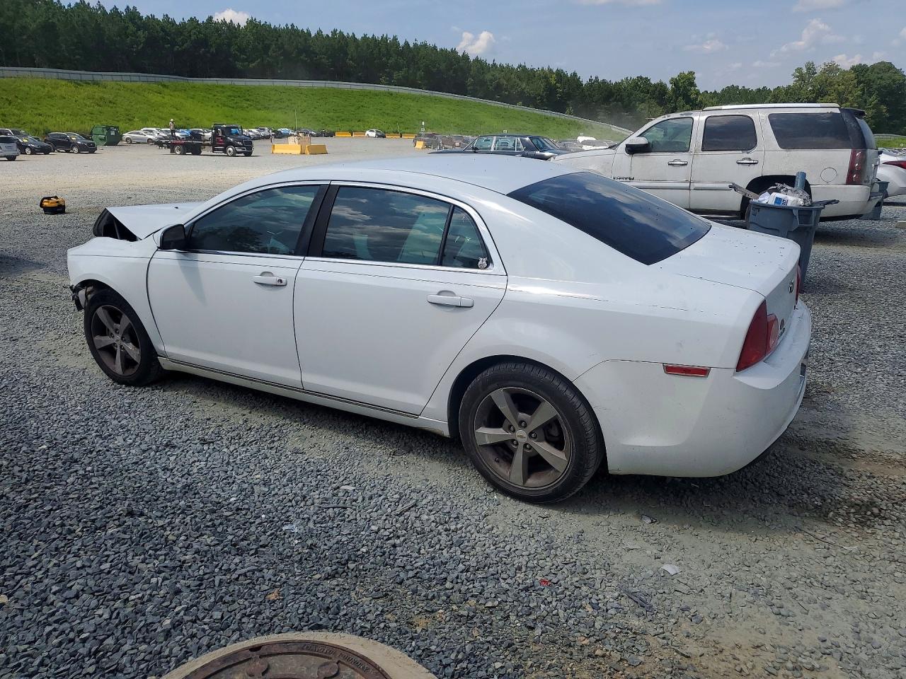 2011 Chevrolet Malibu 1lt White vin: 1G1ZC5EU3BF367118