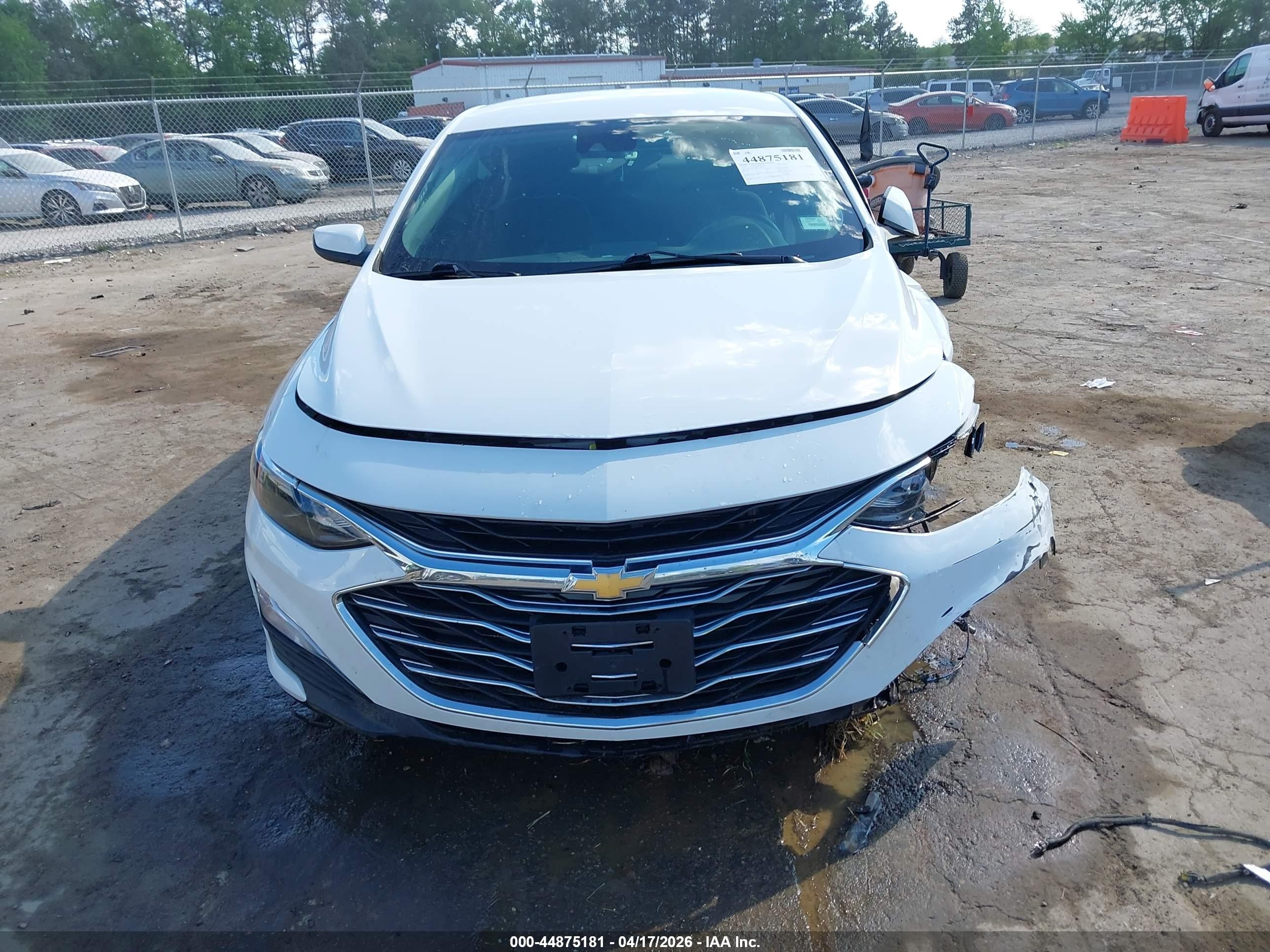 2019 Chevrolet Malibu 1fl Белый vin: 1G1ZC5ST3KF120421