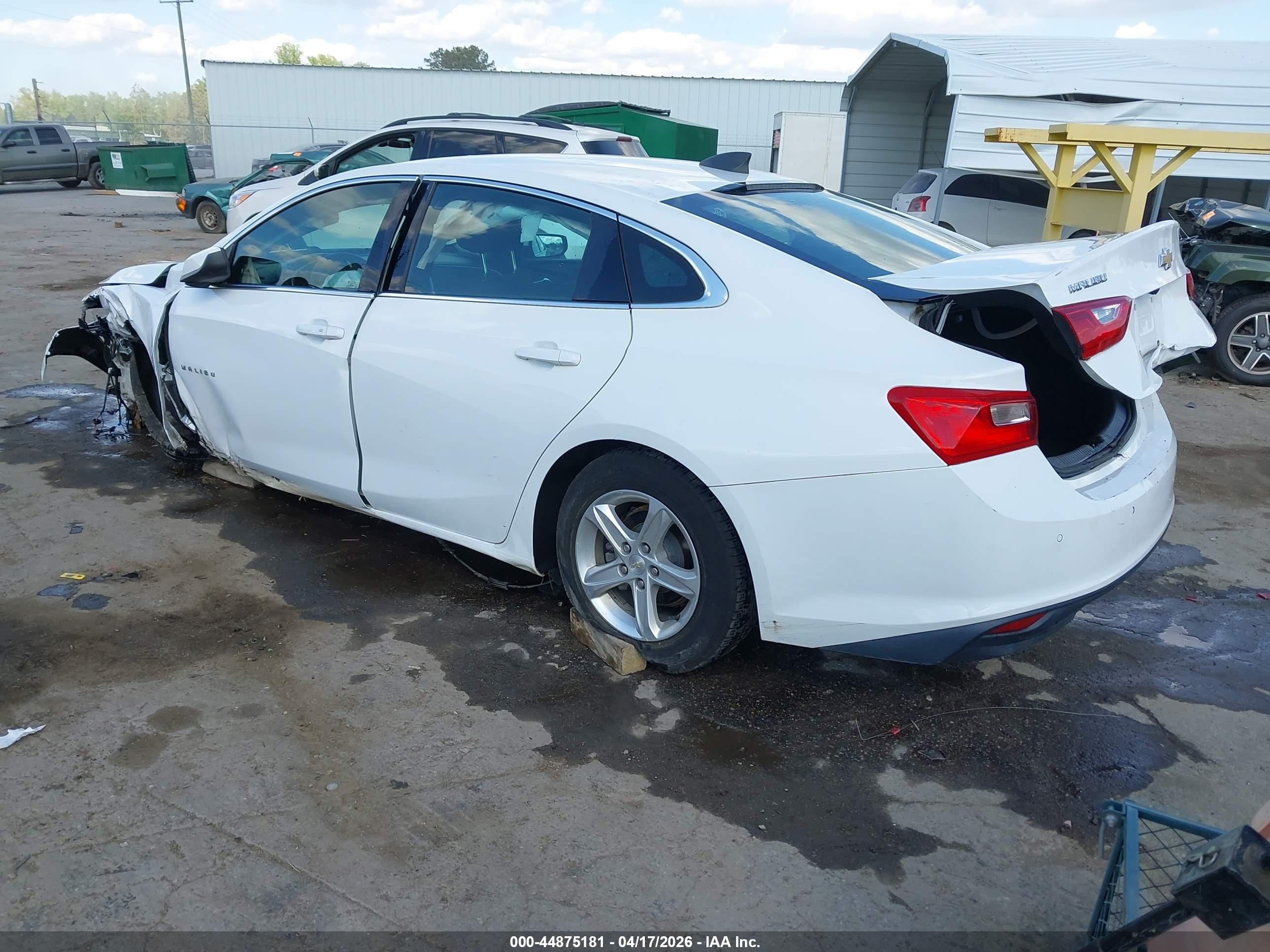 2019 Chevrolet Malibu 1fl Белый vin: 1G1ZC5ST3KF120421
