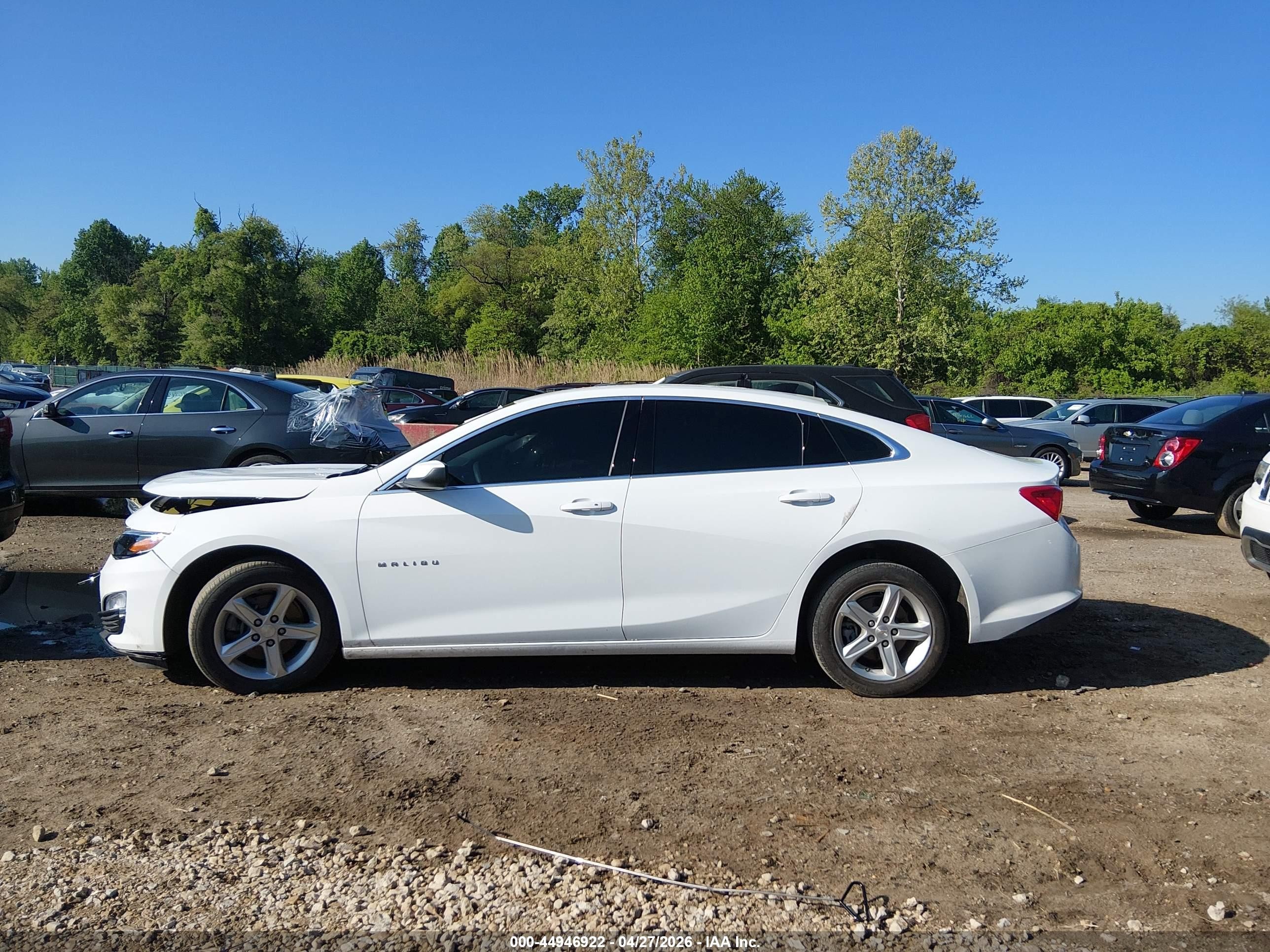 2024 Chevrolet Malibu Fwd 1fl White vin: 1G1ZC5ST7RF148572