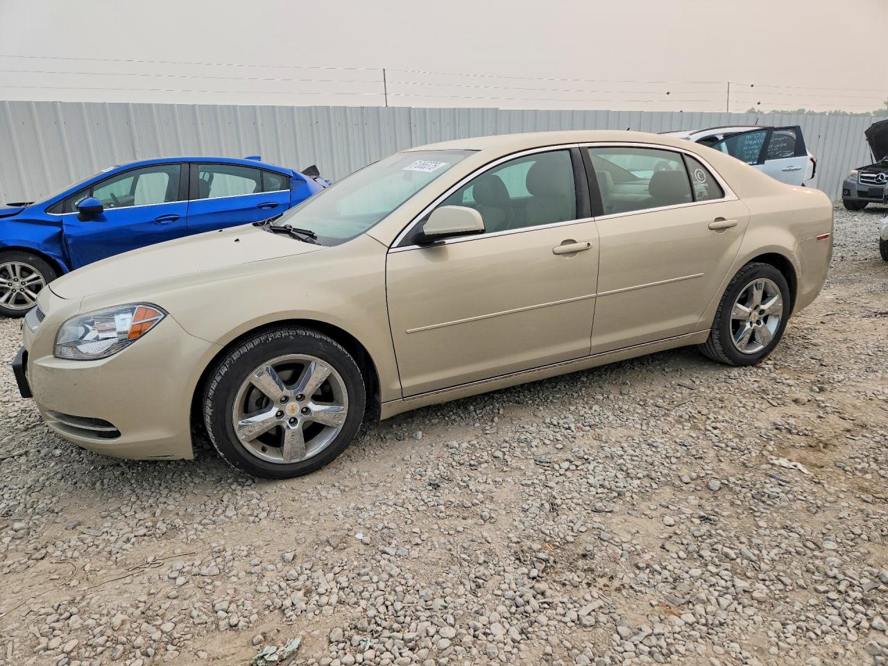 2010 Chevrolet Malibu 2lt Cream vin: 1G1ZD5EB5AF221894