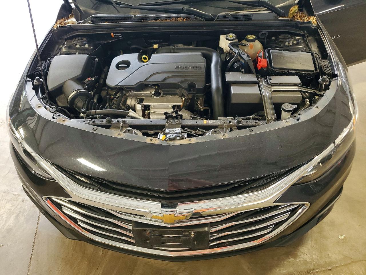 2023 Chevrolet Malibu Lt Black vin: 1G1ZD5ST2PF221129