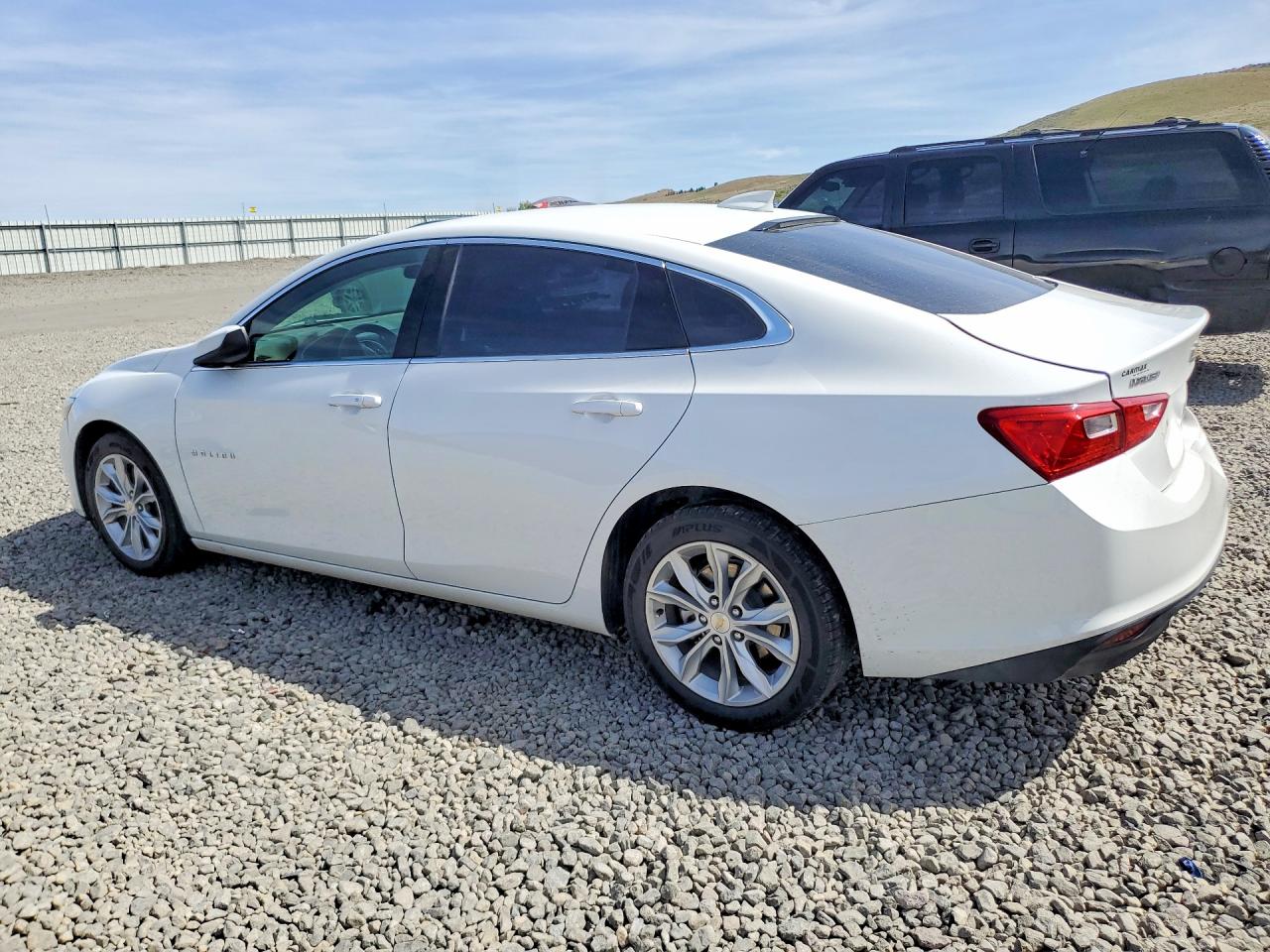 2023 Chevrolet Malibu Lt White vin: 1G1ZD5ST3PF111951