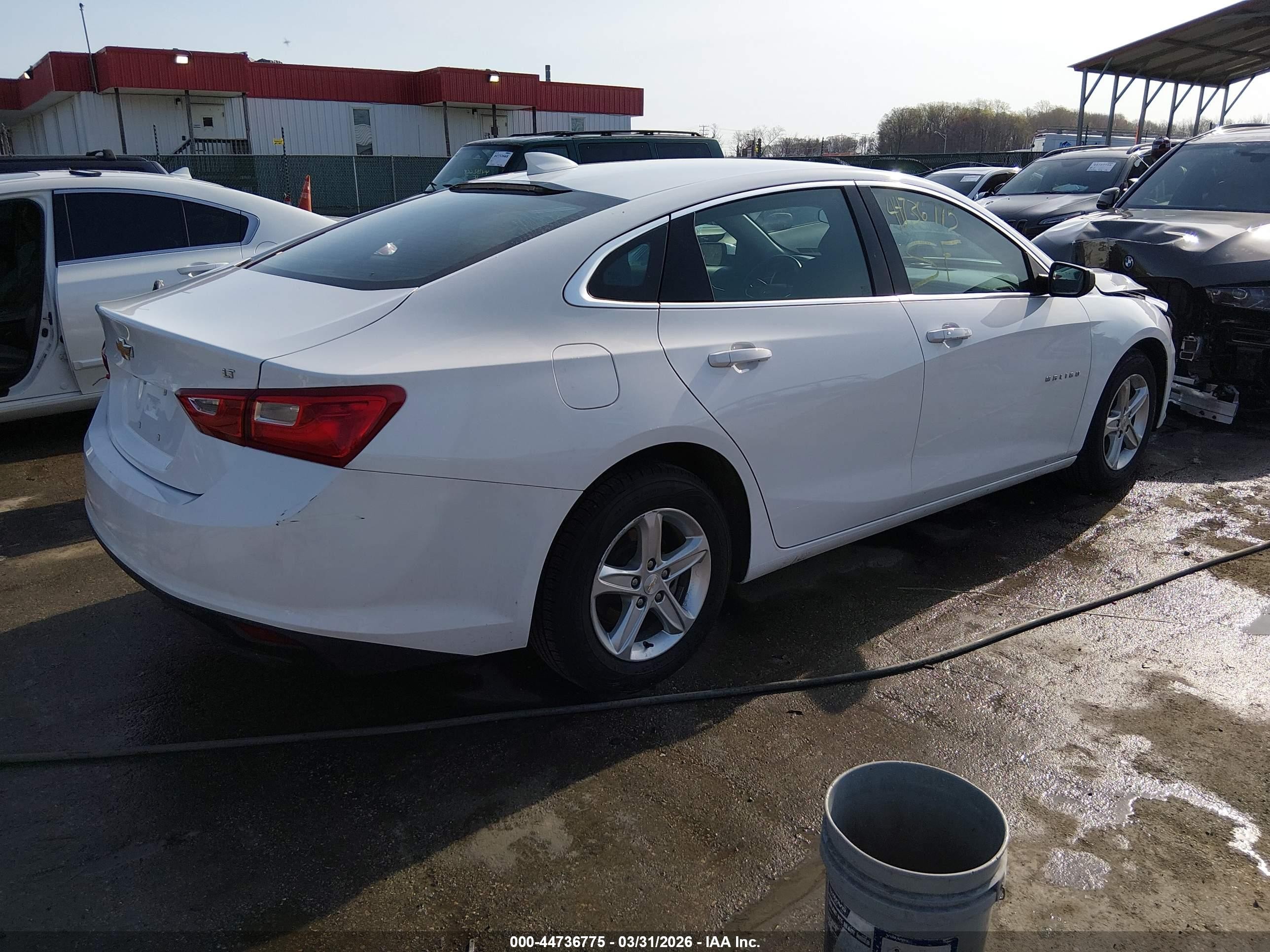 2023 Chevrolet Malibu Fwd 1lt Белый vin: 1G1ZD5ST5PF186408