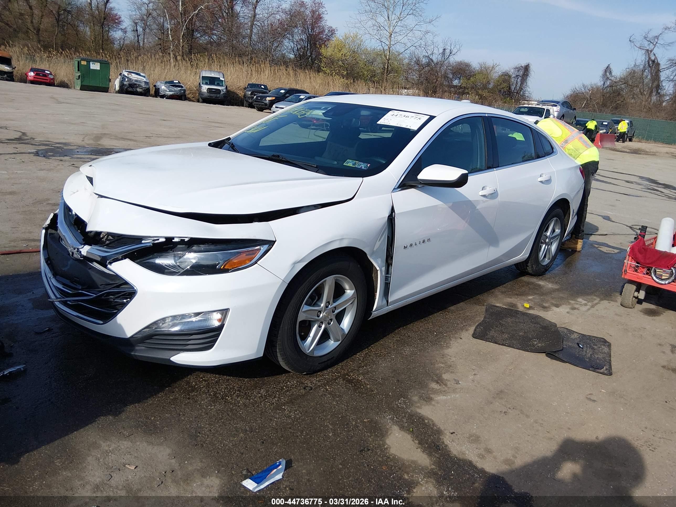 2023 Chevrolet Malibu Fwd 1lt Белый vin: 1G1ZD5ST5PF186408