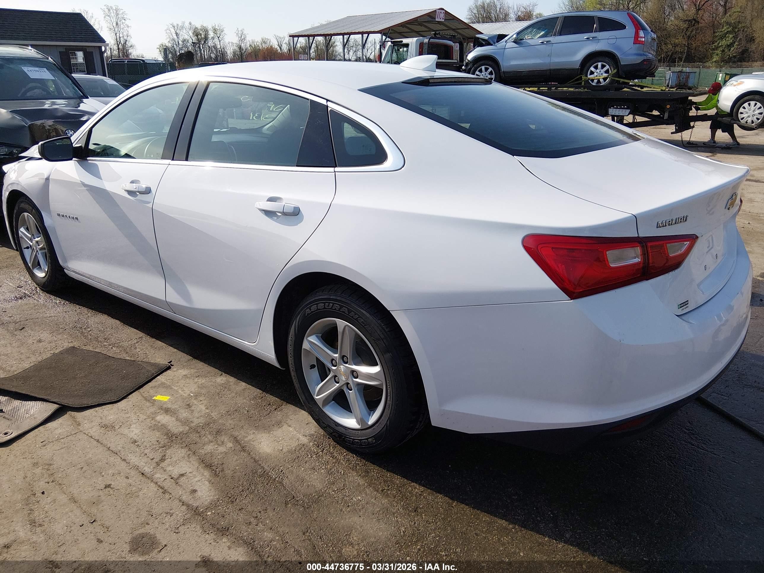 2023 Chevrolet Malibu Fwd 1lt Белый vin: 1G1ZD5ST5PF186408