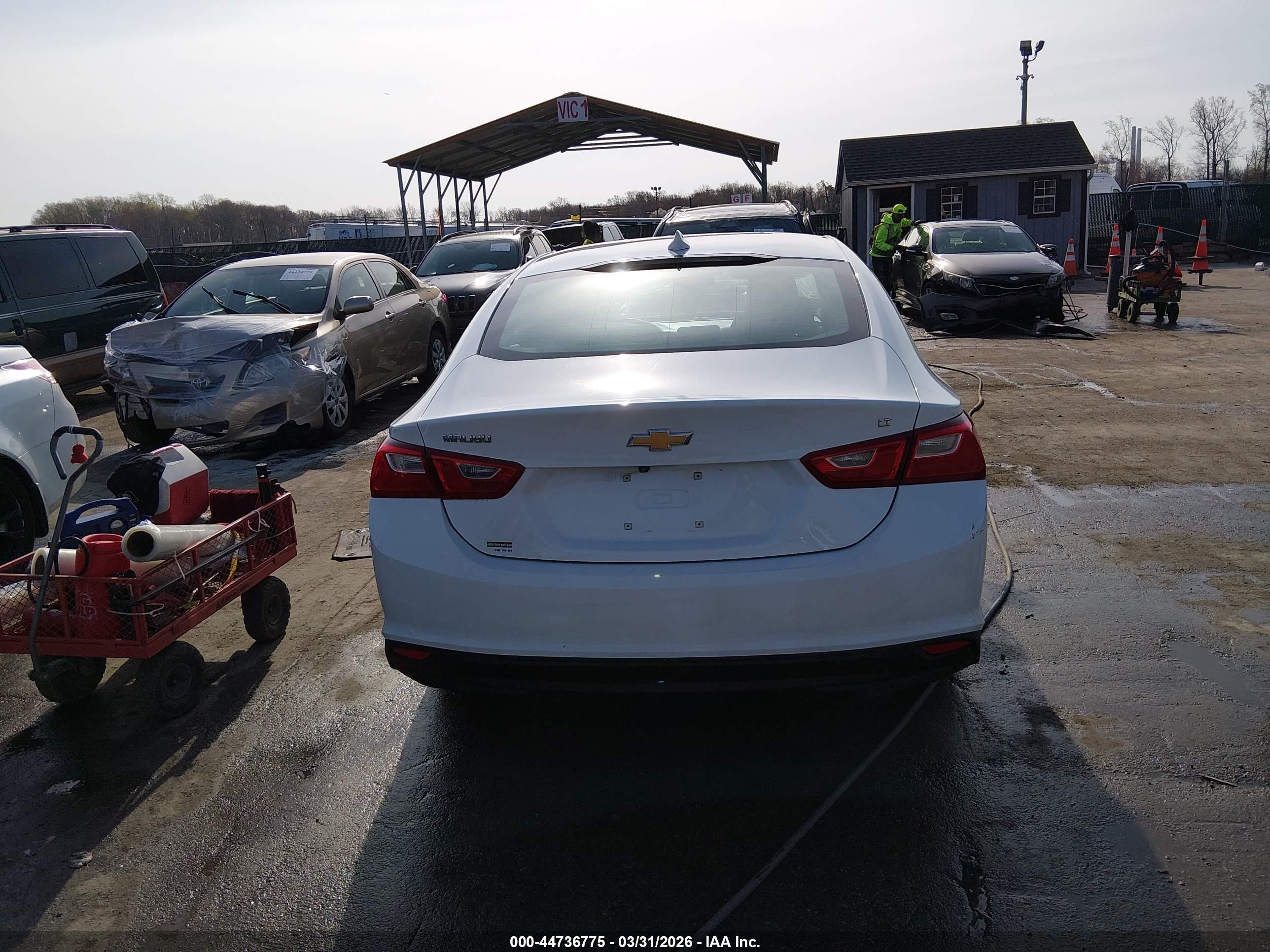 2023 Chevrolet Malibu Fwd 1lt Белый vin: 1G1ZD5ST5PF186408