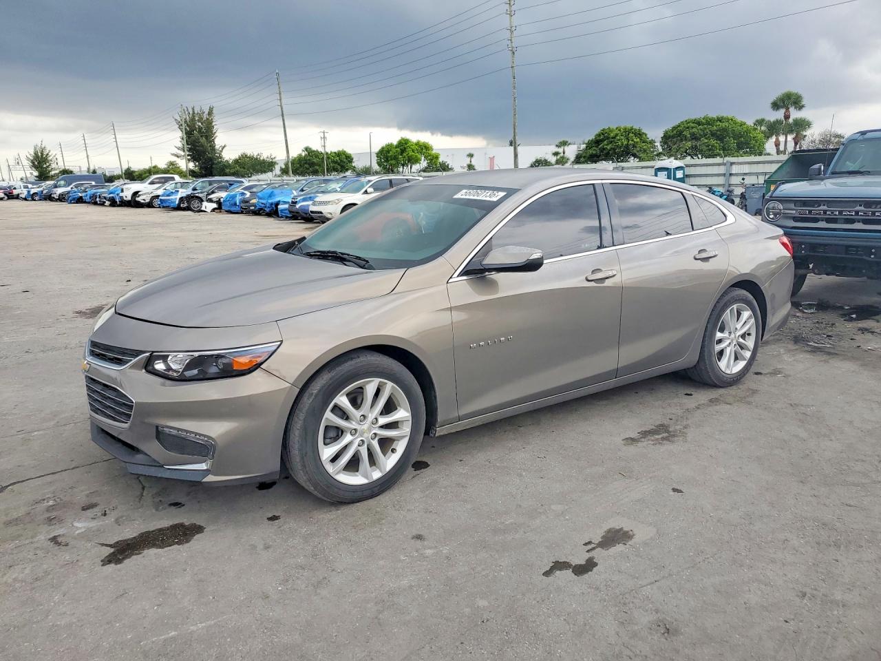 1G1ZD5ST6JF114687