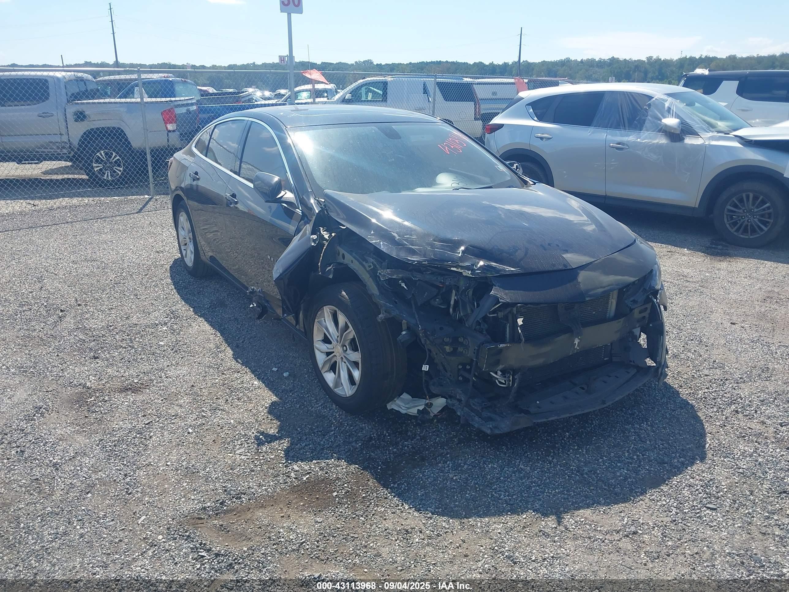 2019 Chevrolet Malibu Lt Black vin: 1G1ZD5ST6KF221692