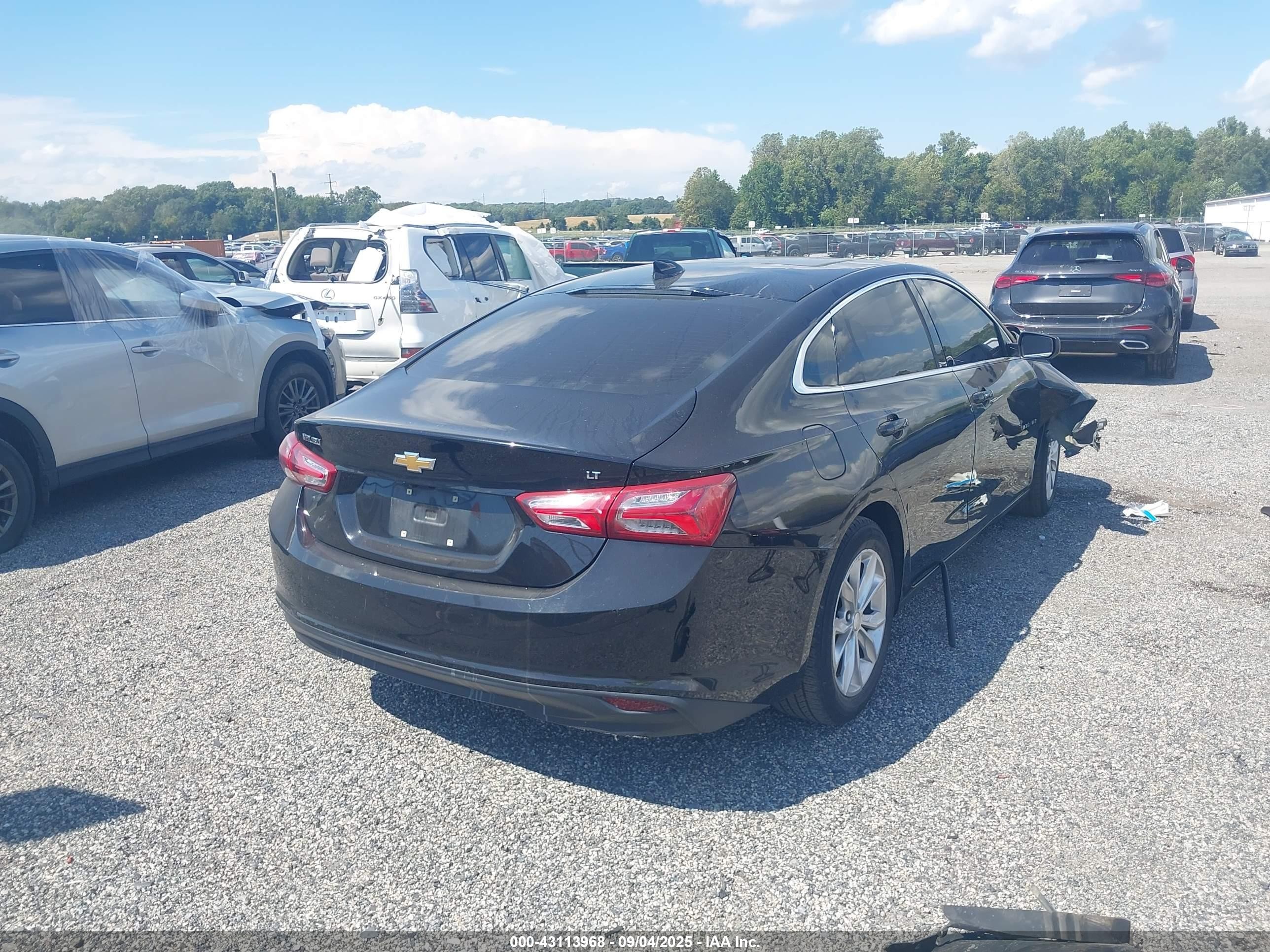 2019 Chevrolet Malibu Lt Black vin: 1G1ZD5ST6KF221692