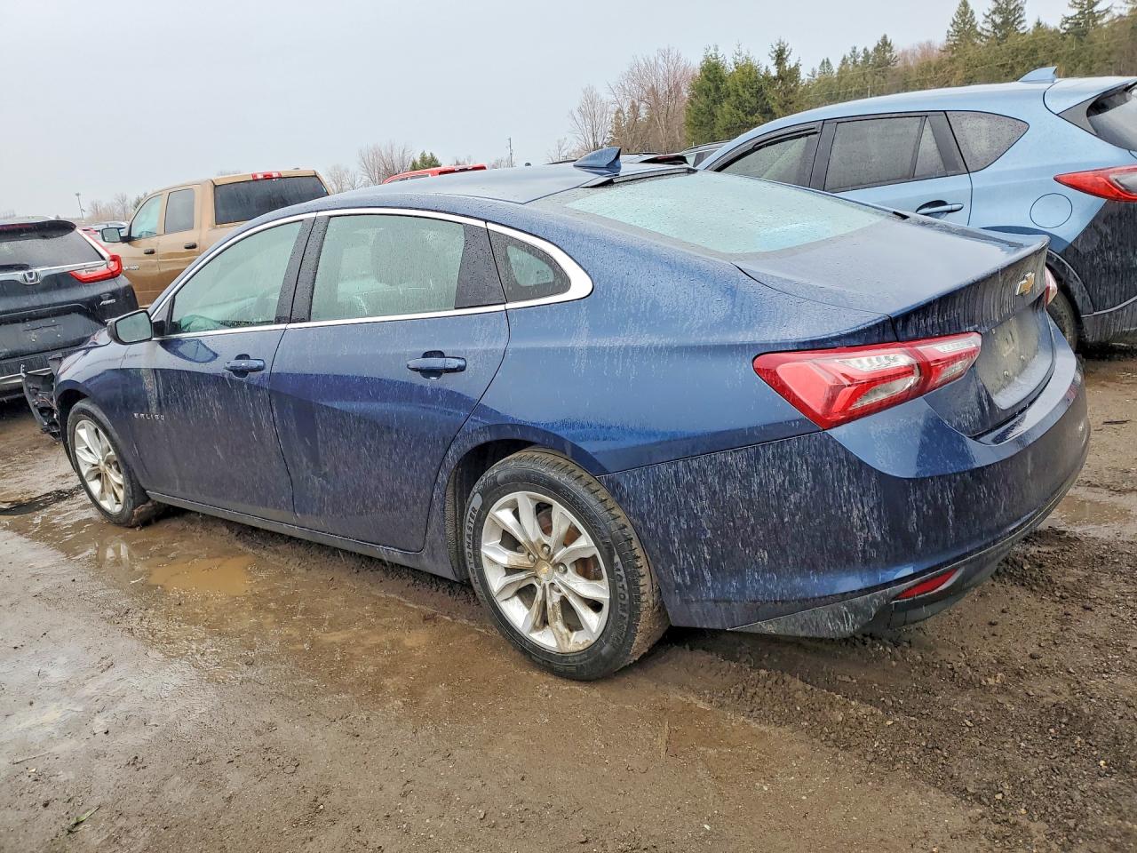 2021 Chevrolet Malibu Lt Blue vin: 1G1ZD5ST6MF076883