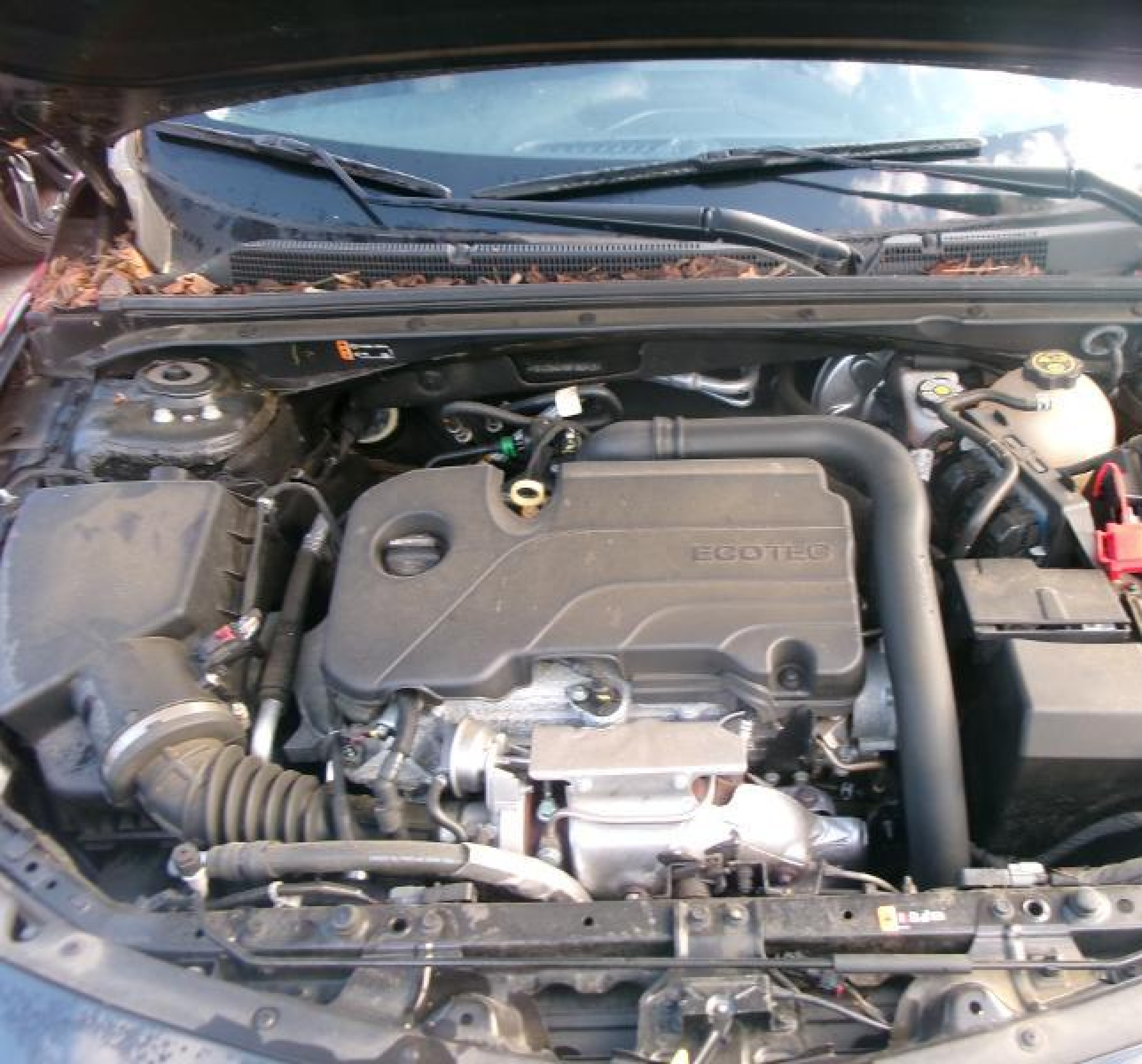 1G1ZD5ST6MF082425