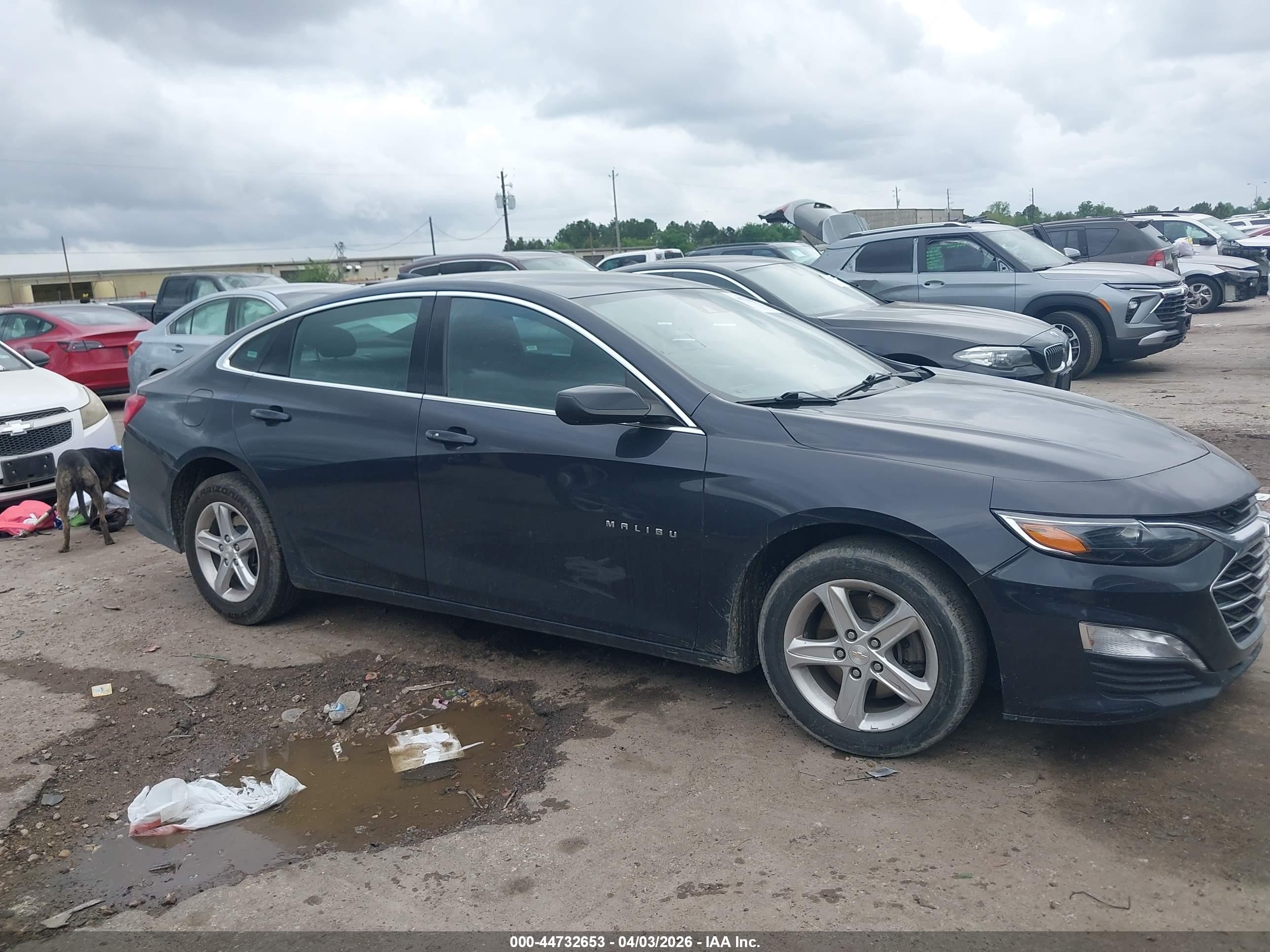 2023 Chevrolet Malibu Fwd 1lt Черный vin: 1G1ZD5STXPF225767