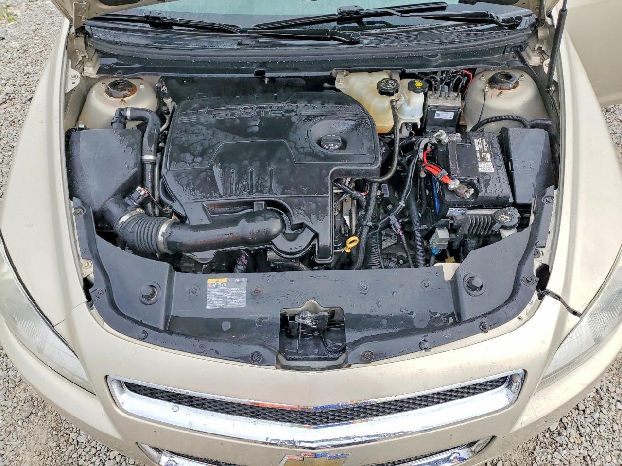 2010 Chevrolet Malibu Ltz Beige vin: 1G1ZE5EB6AF259471
