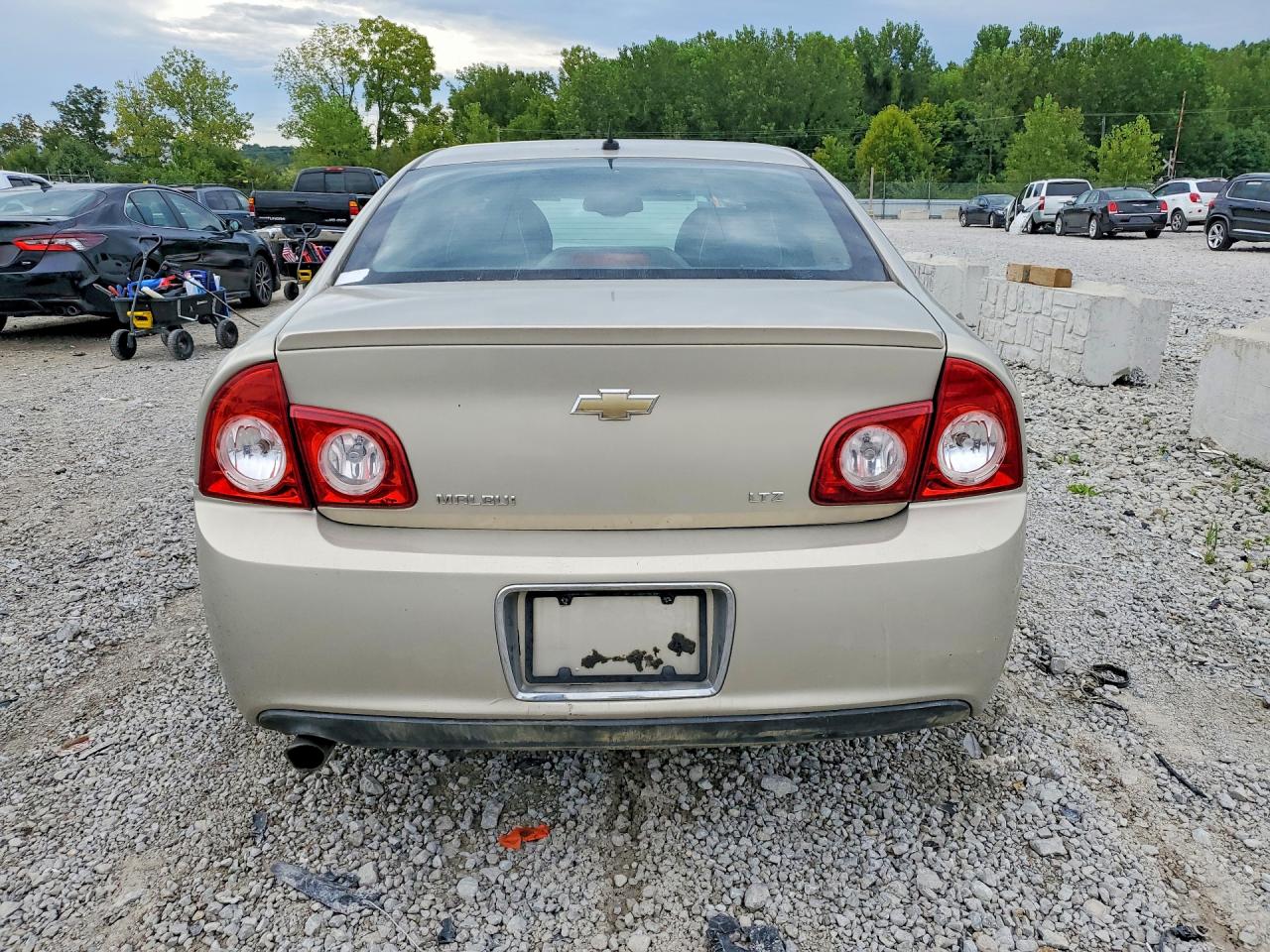 2010 Chevrolet Malibu Ltz Beige vin: 1G1ZE5EB6AF259471