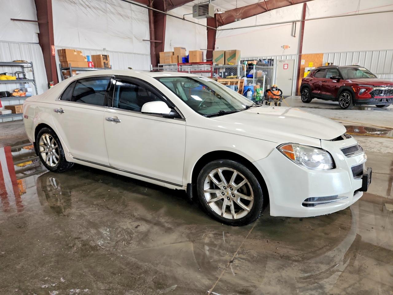 2010 Chevrolet Malibu Ltz Beige vin: 1G1ZE5EB8AF196647