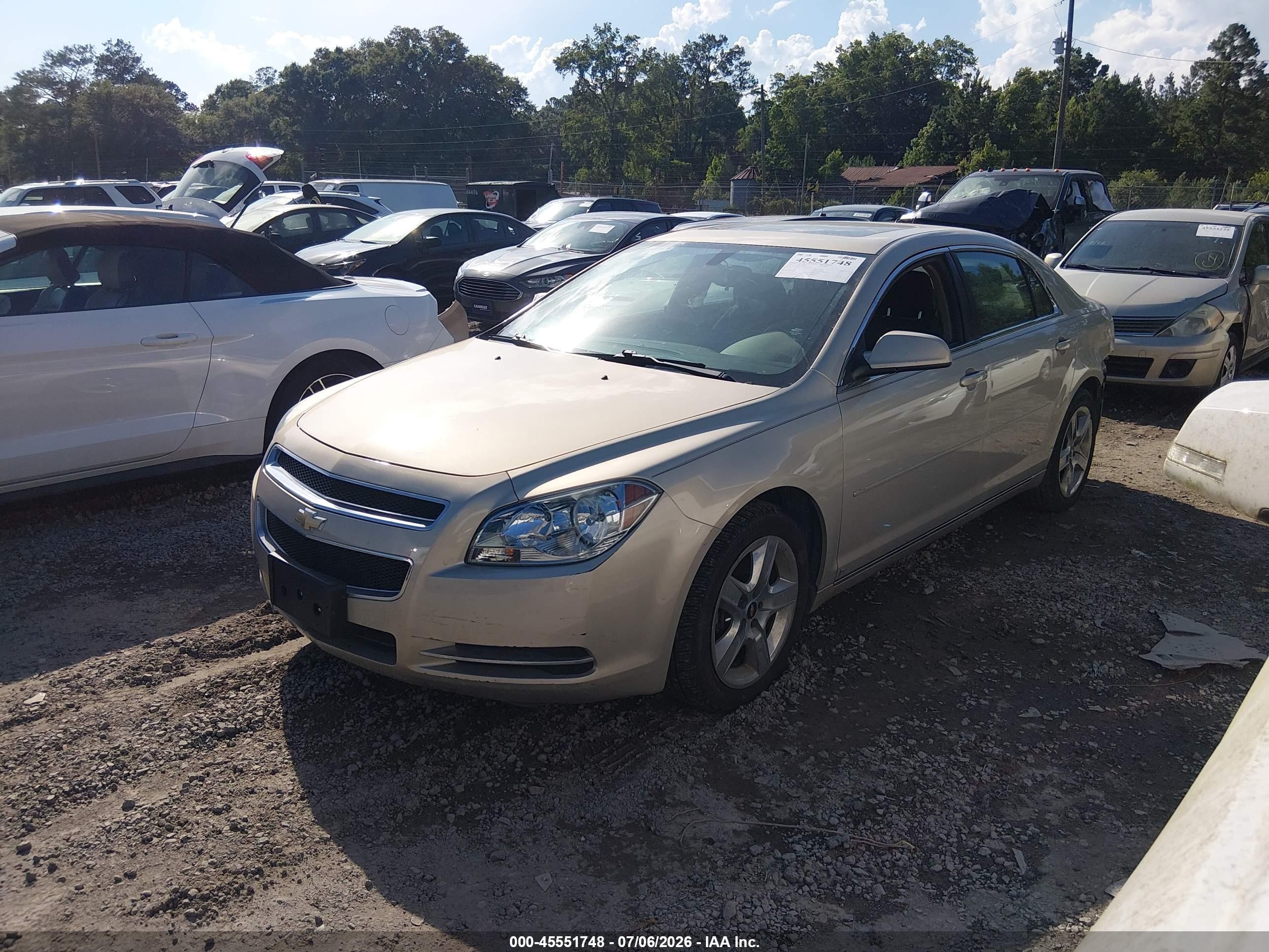 2009 Chevrolet Malibu Lt Beige vin: 1G1ZH57B09F187604