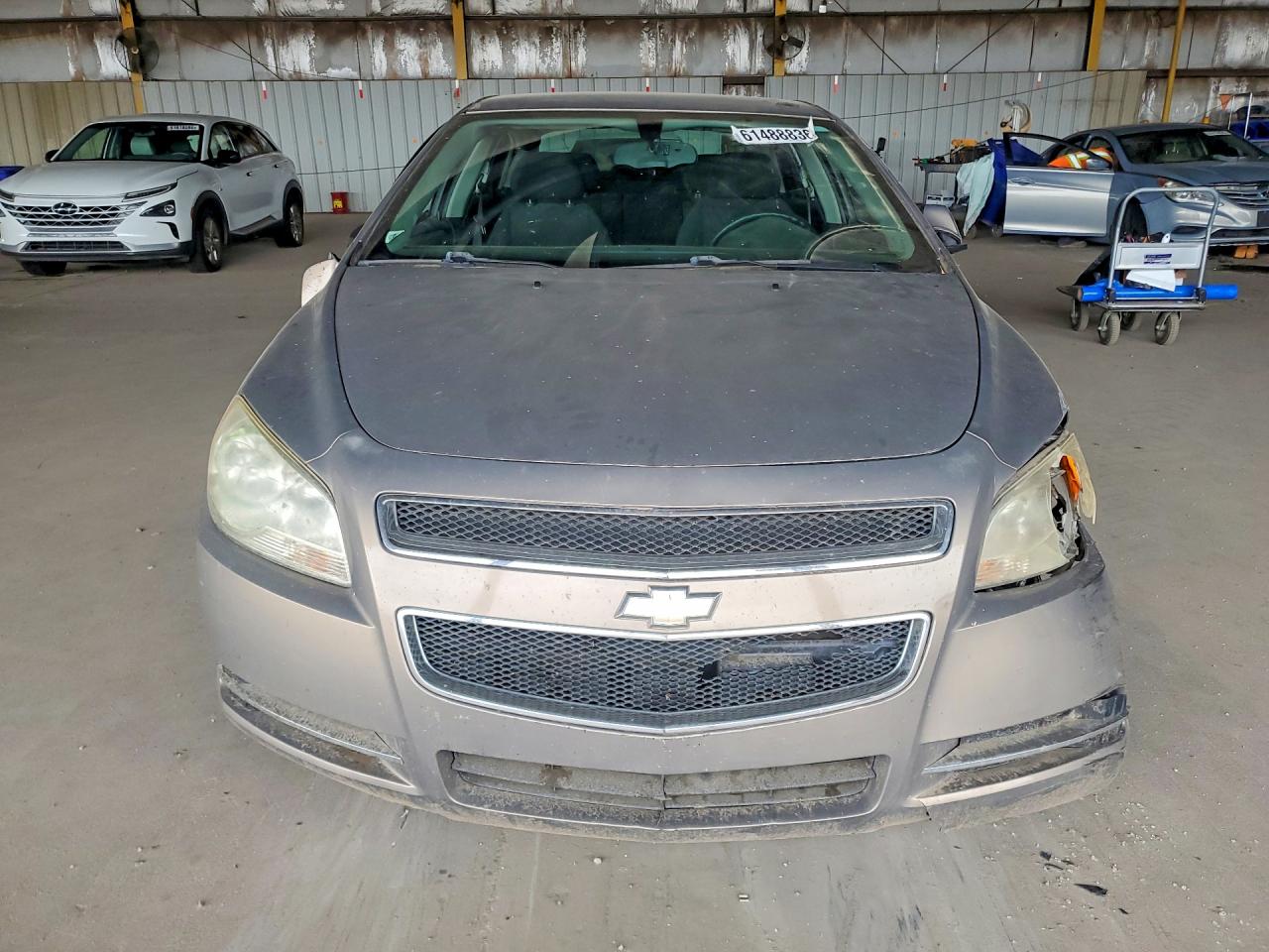 2008 Chevrolet Malibu 1lt Tan vin: 1G1ZH57B18F219023