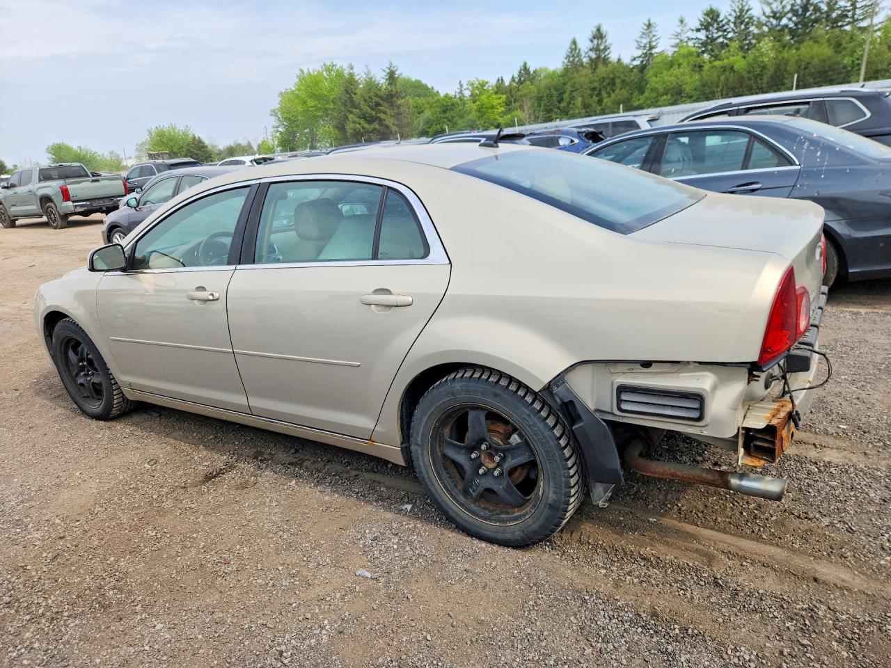 2009 Chevrolet Malibu 2lt Gold vin: 1G1ZJ57BX9F221925