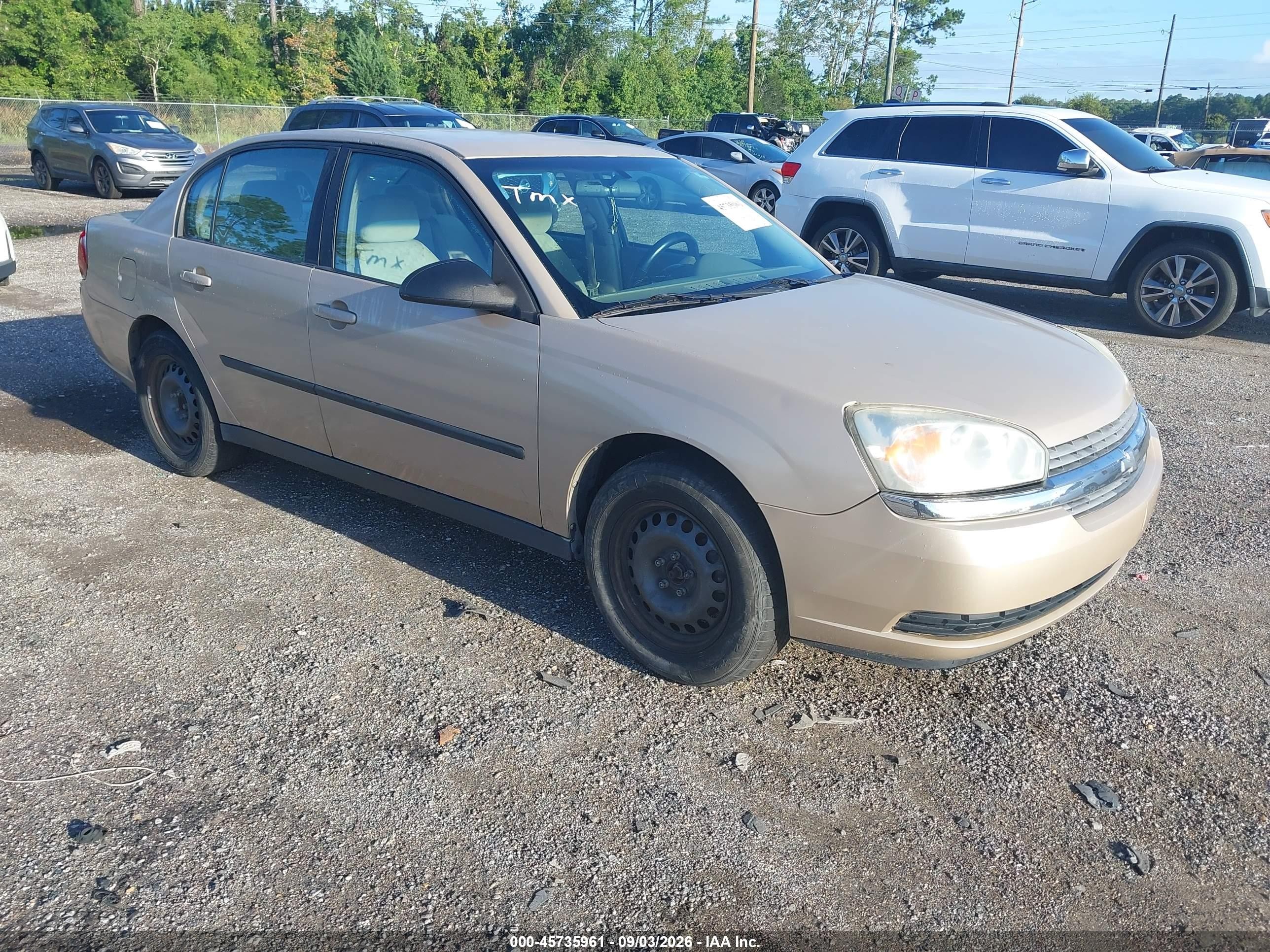 2005 Chevrolet Malibu   Gold vin: 1G1ZS52825F199177