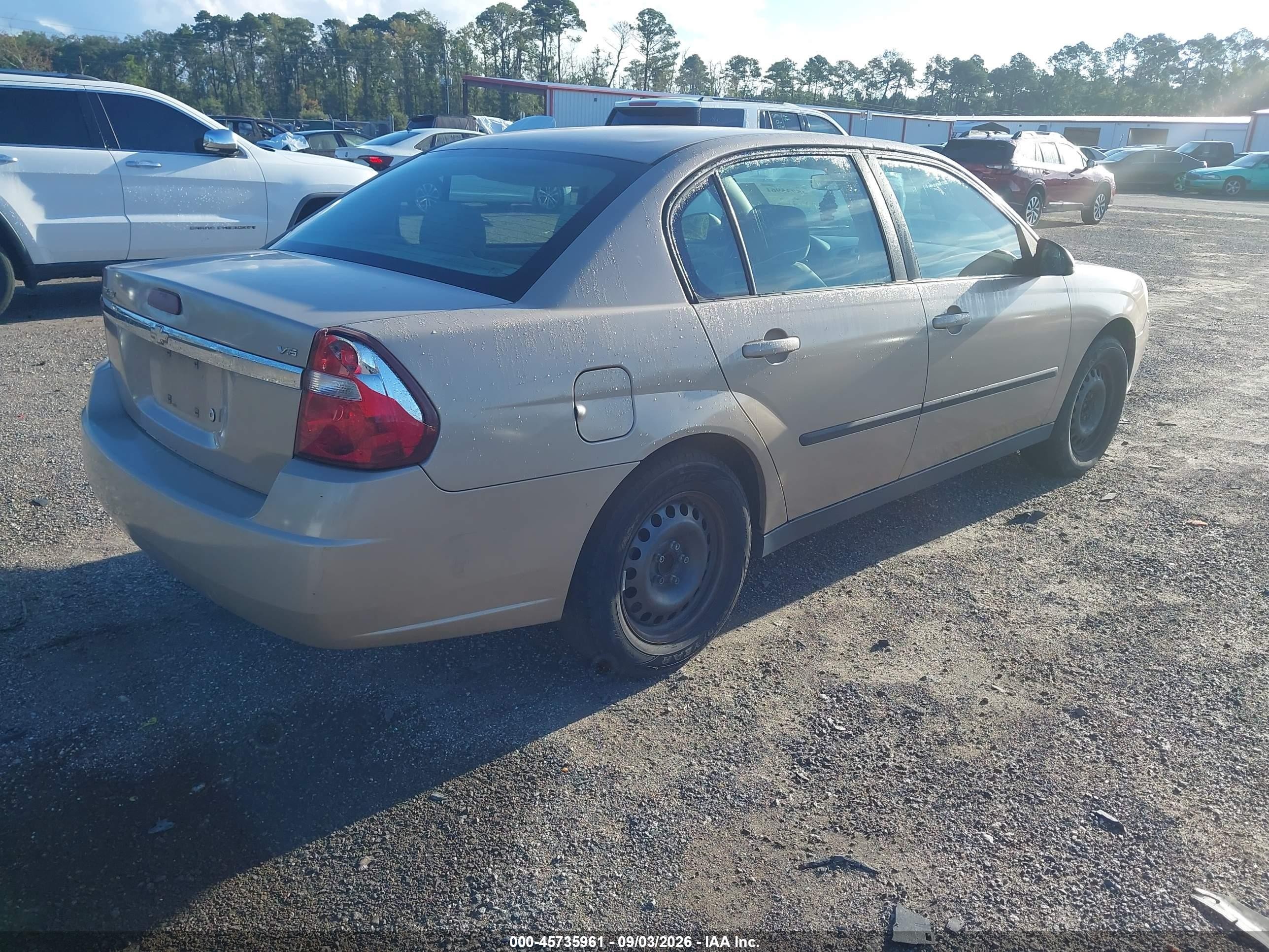2005 Chevrolet Malibu   Gold vin: 1G1ZS52825F199177