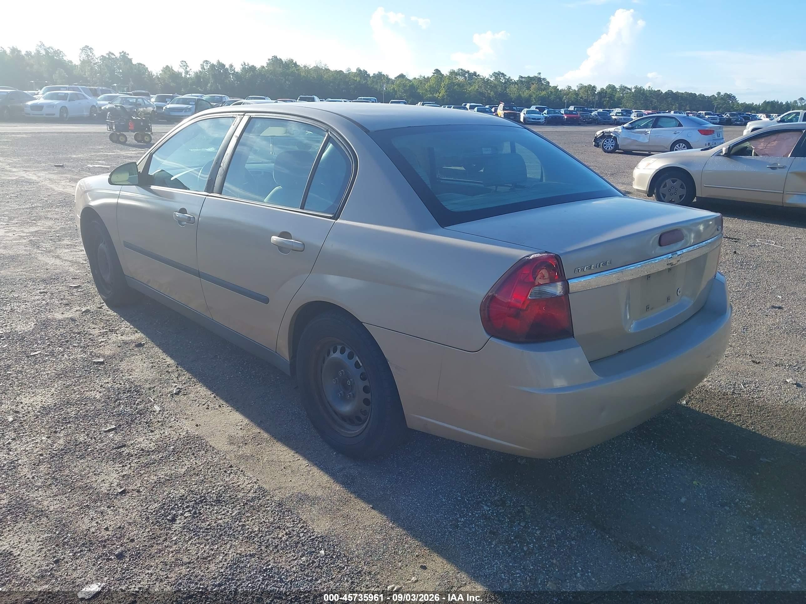 2005 Chevrolet Malibu   Gold vin: 1G1ZS52825F199177