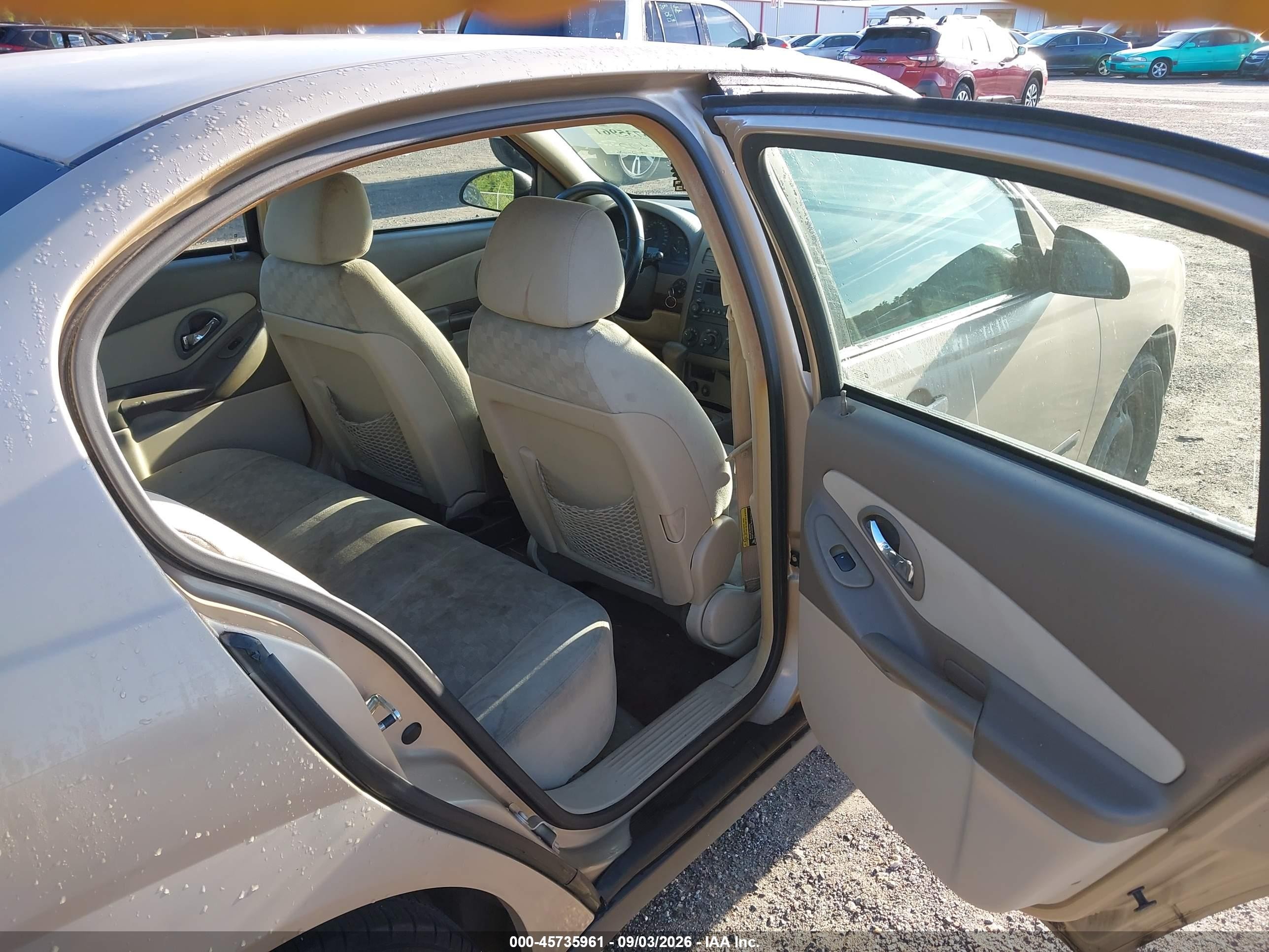 2005 Chevrolet Malibu   Gold vin: 1G1ZS52825F199177