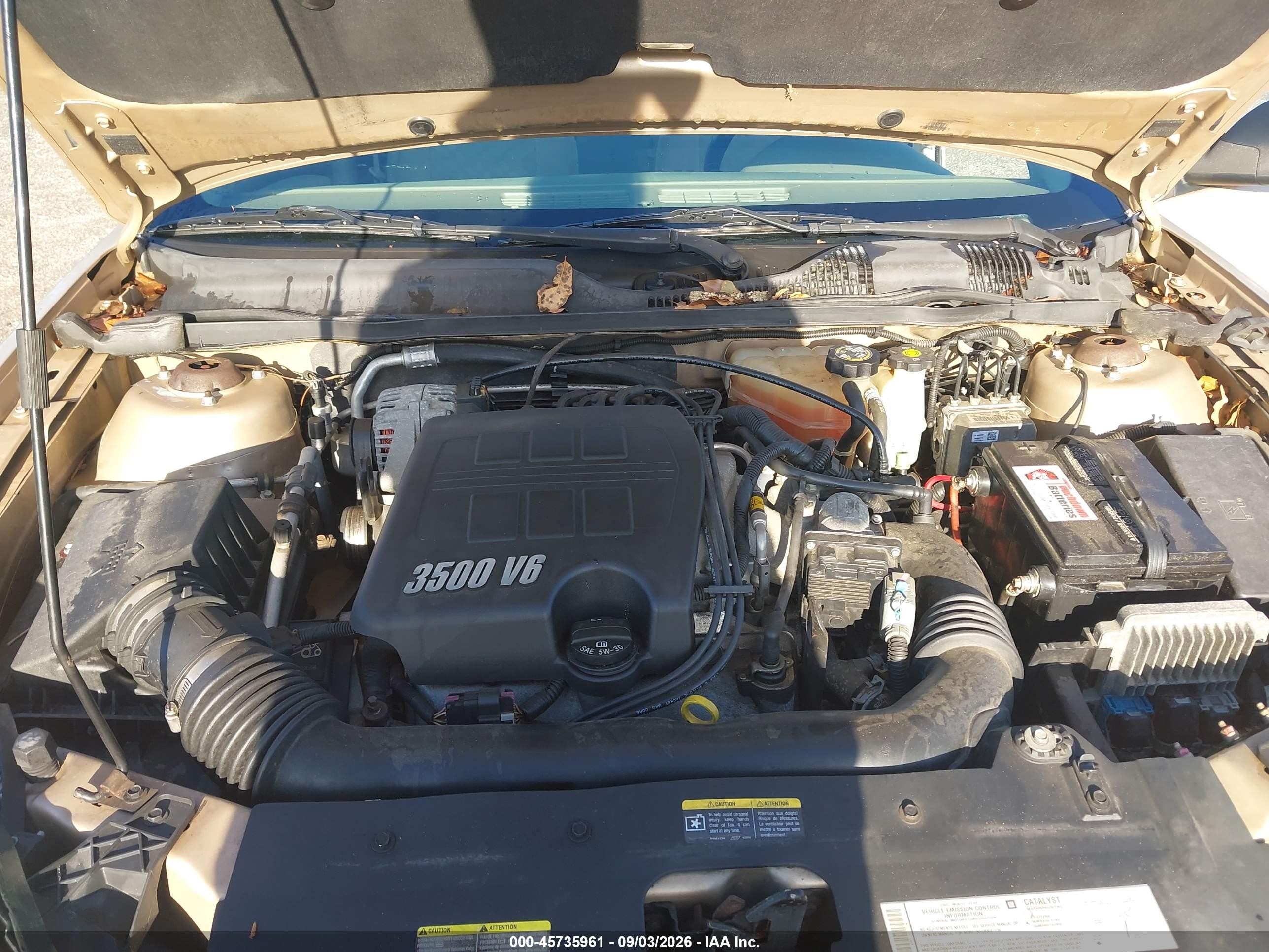 2005 Chevrolet Malibu   Gold vin: 1G1ZS52825F199177