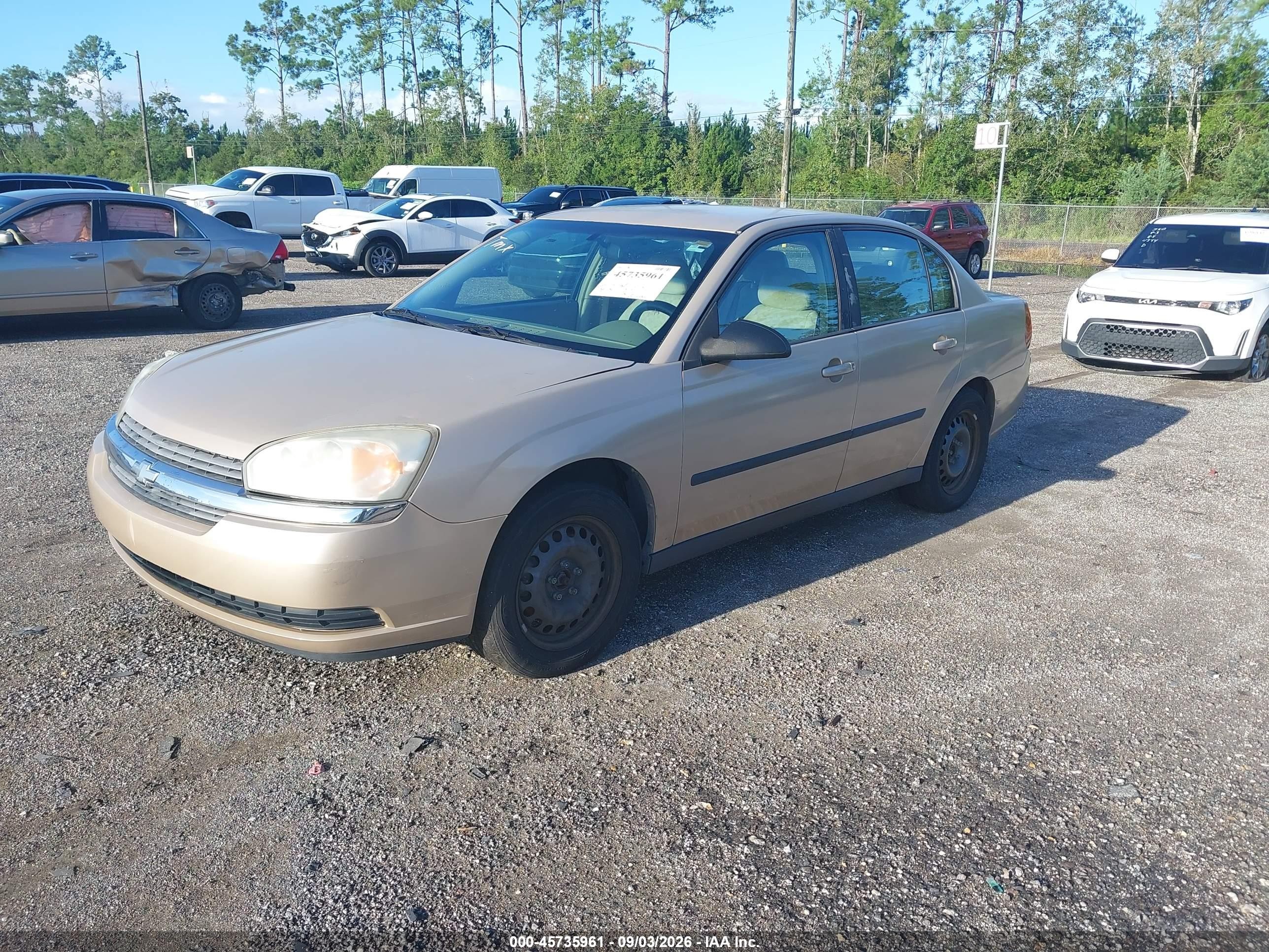 2005 Chevrolet Malibu   Gold vin: 1G1ZS52825F199177