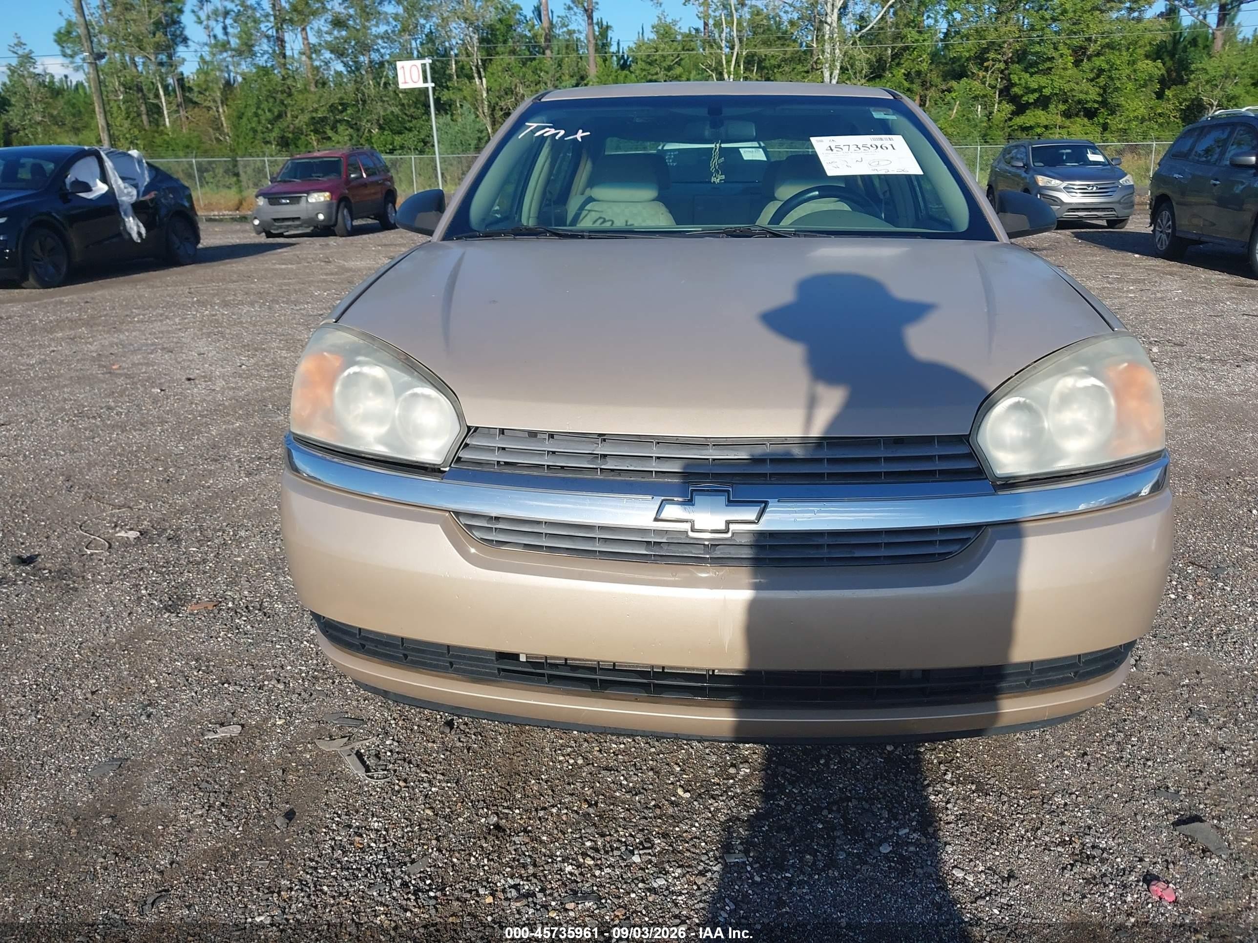 2005 Chevrolet Malibu   Gold vin: 1G1ZS52825F199177