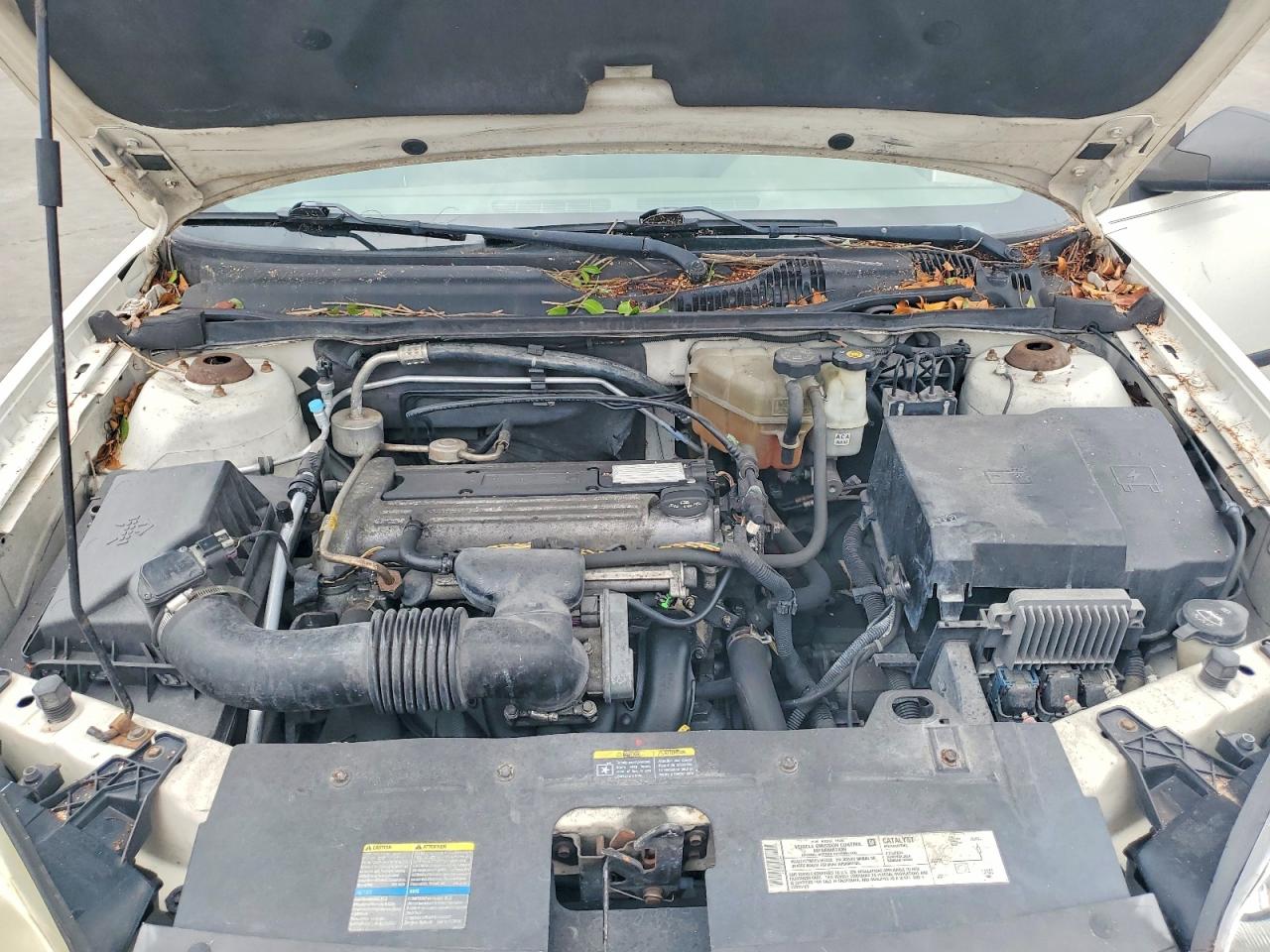 2005 Chevrolet Malibu Белый vin: 1G1ZS52F05F330749