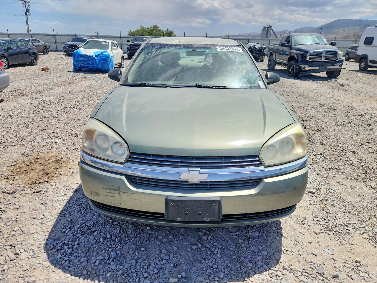 2004 Chevrolet Malibu Green vin: 1G1ZS52F24F248407